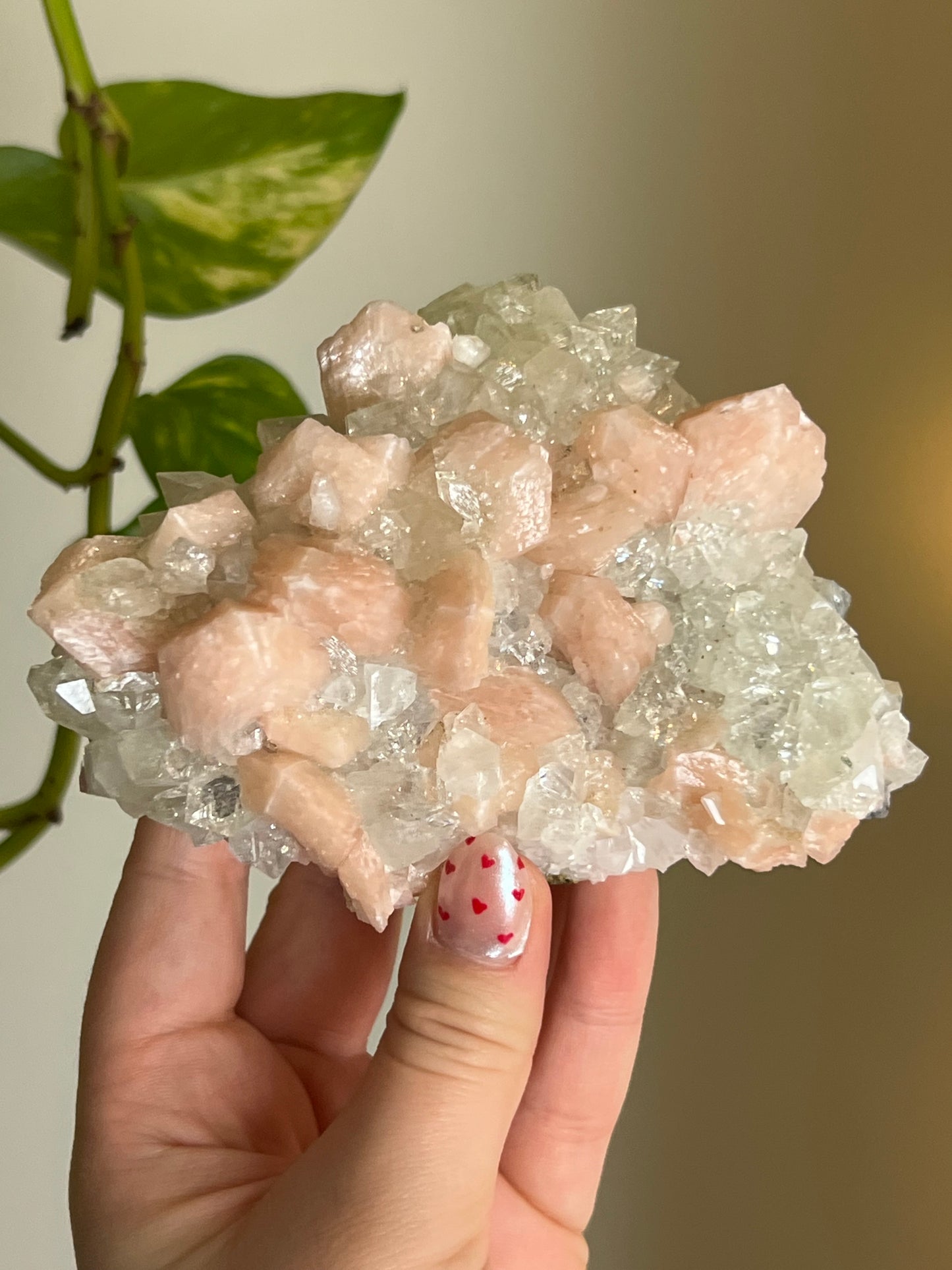 AAA Quality Apophyllite x Stilbite Cluster