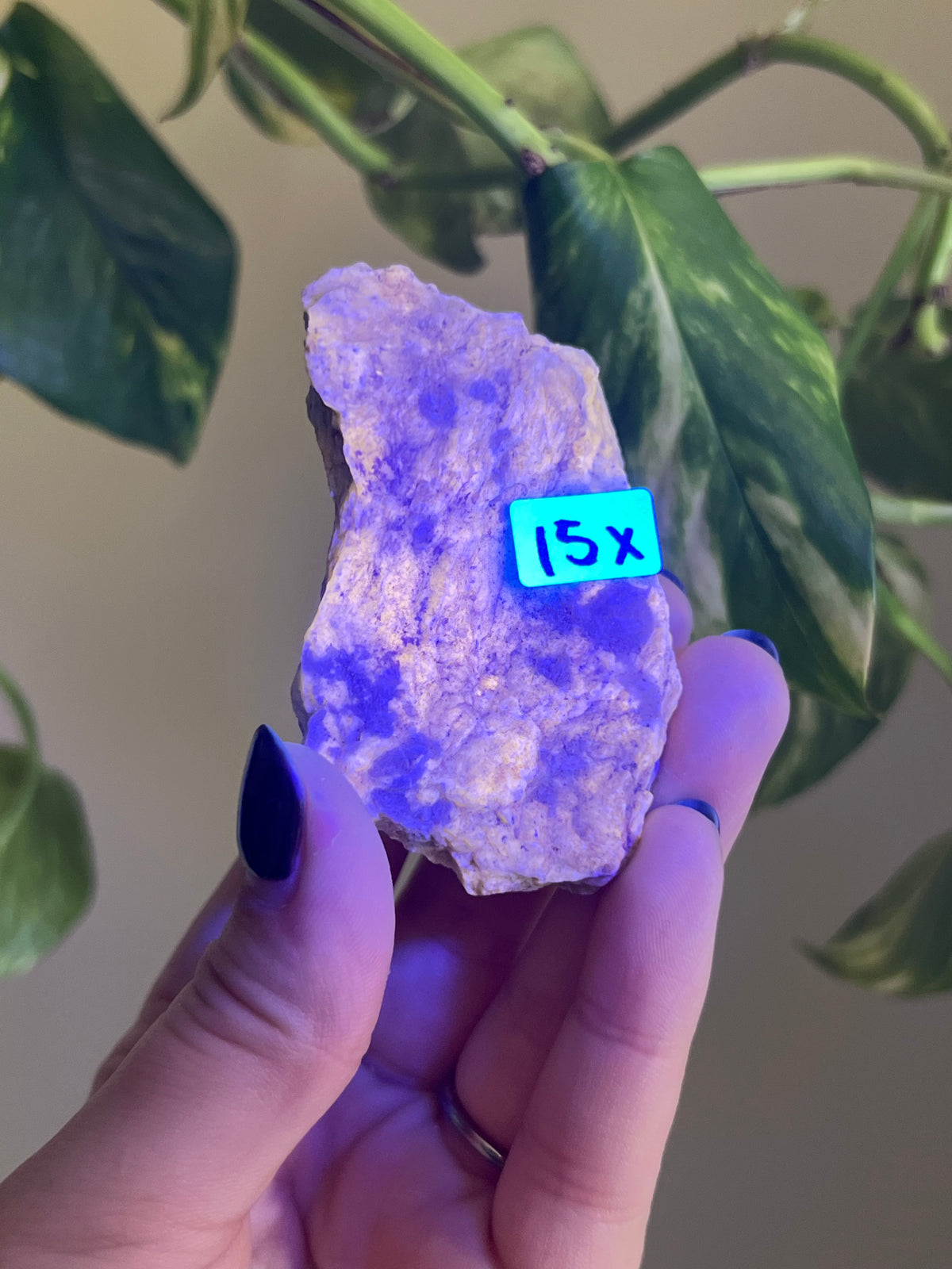 UV Reactive Meionite Scapolite Specimen - X