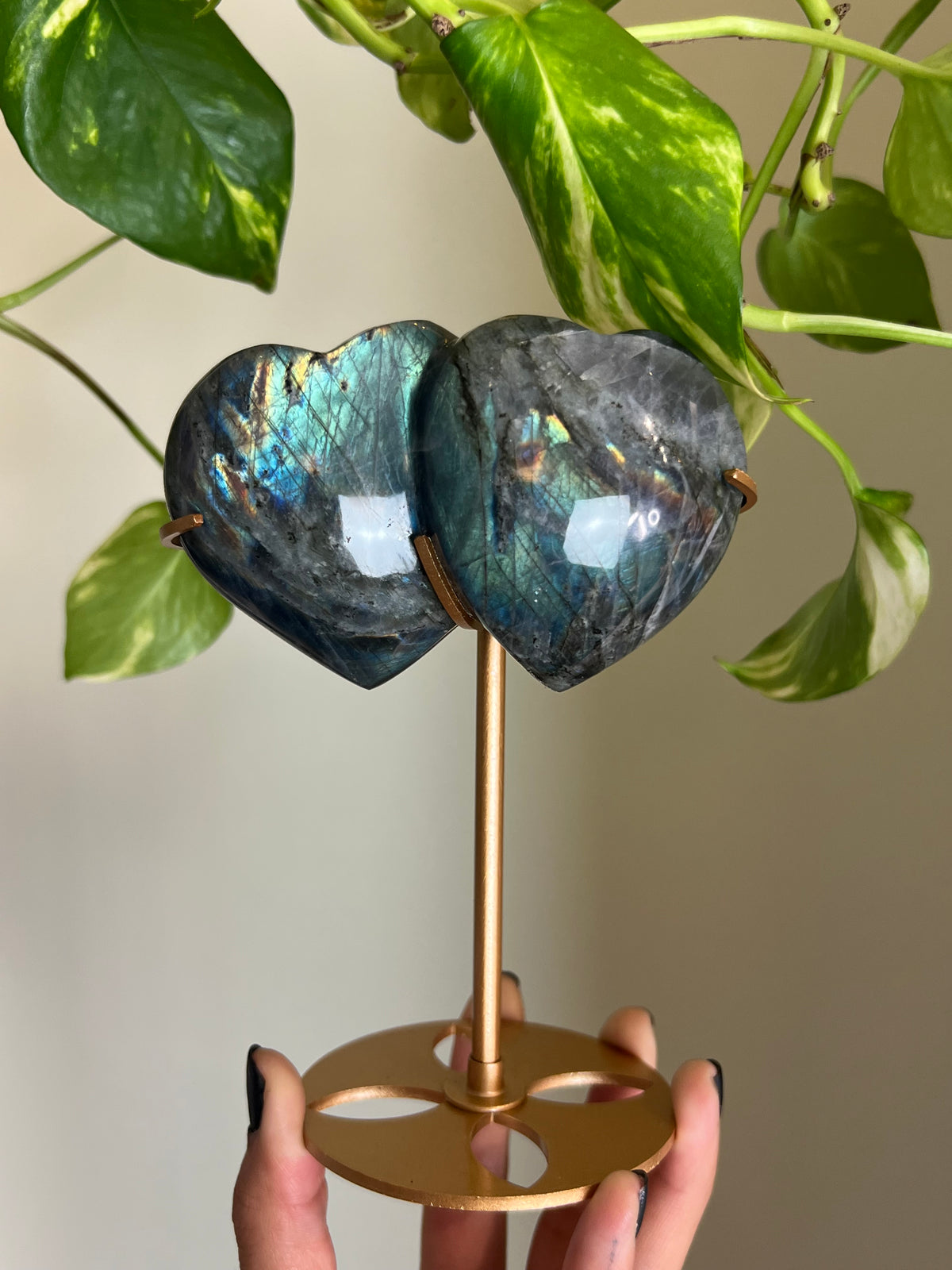 Flashy Labradorite Hugging Heart Duo on Stand
