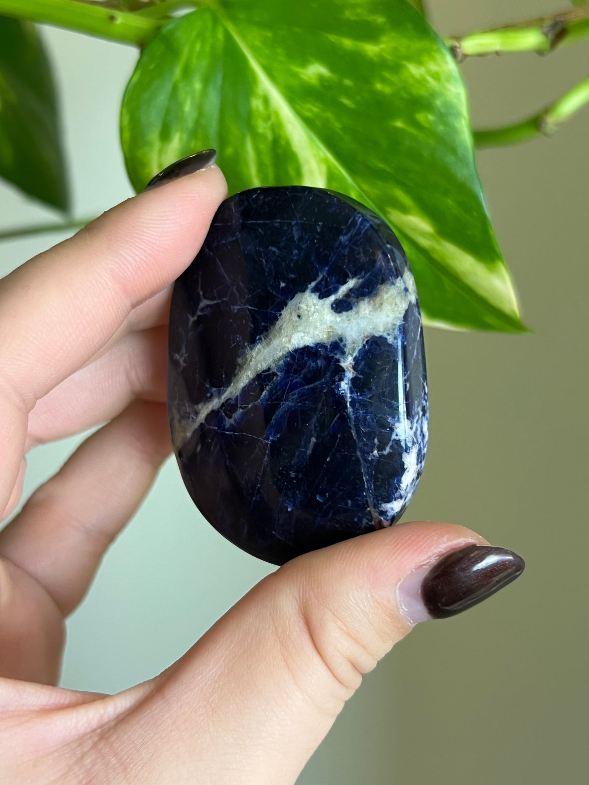 Sodalite Palm Stone - i