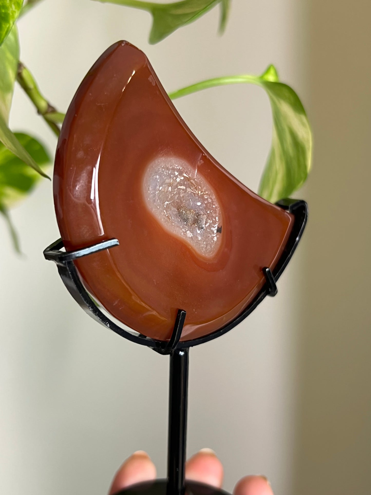 Carnelian Druzy Moon on Stand