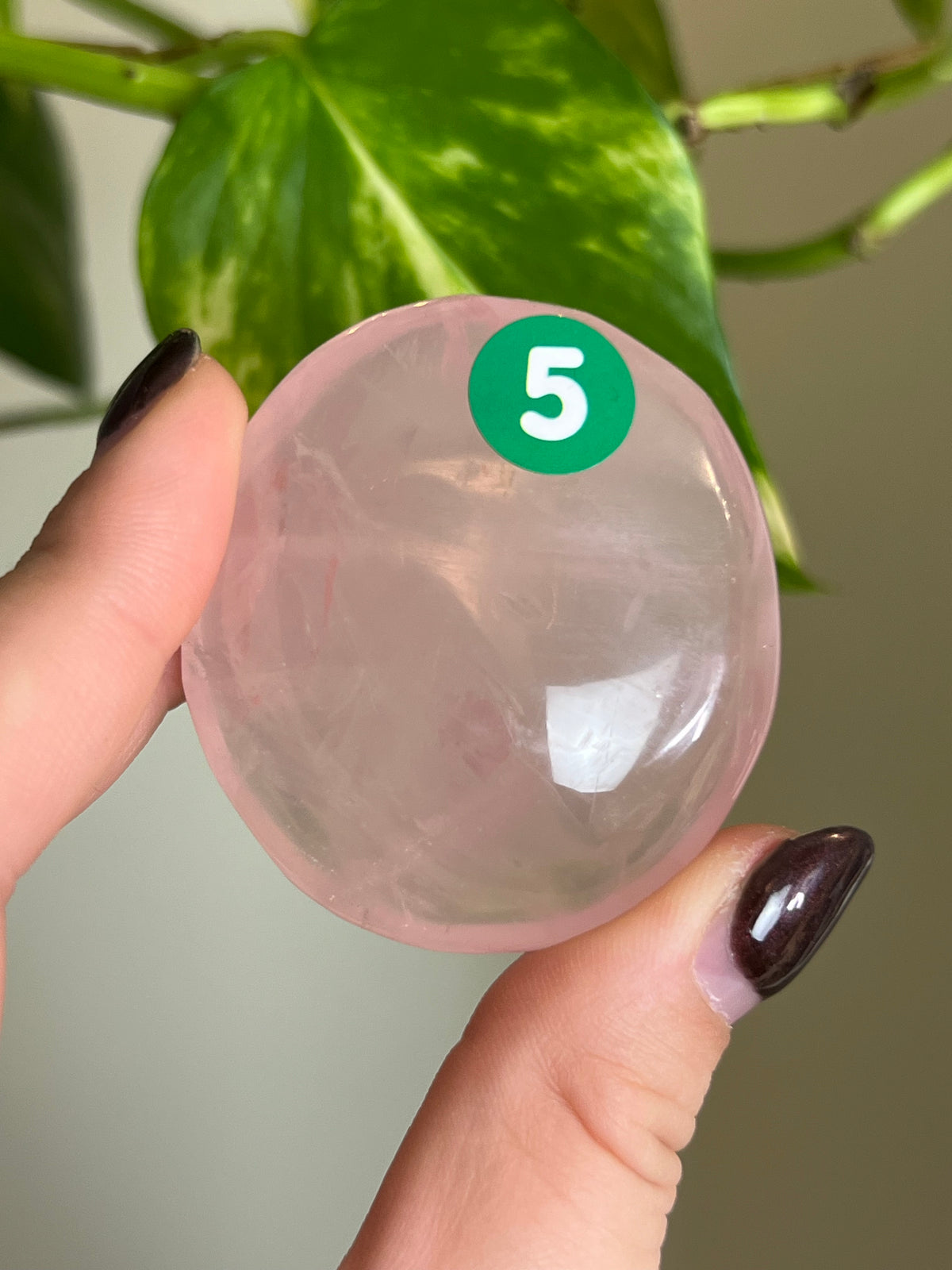 Star Rose Quartz Palm Stone - 5