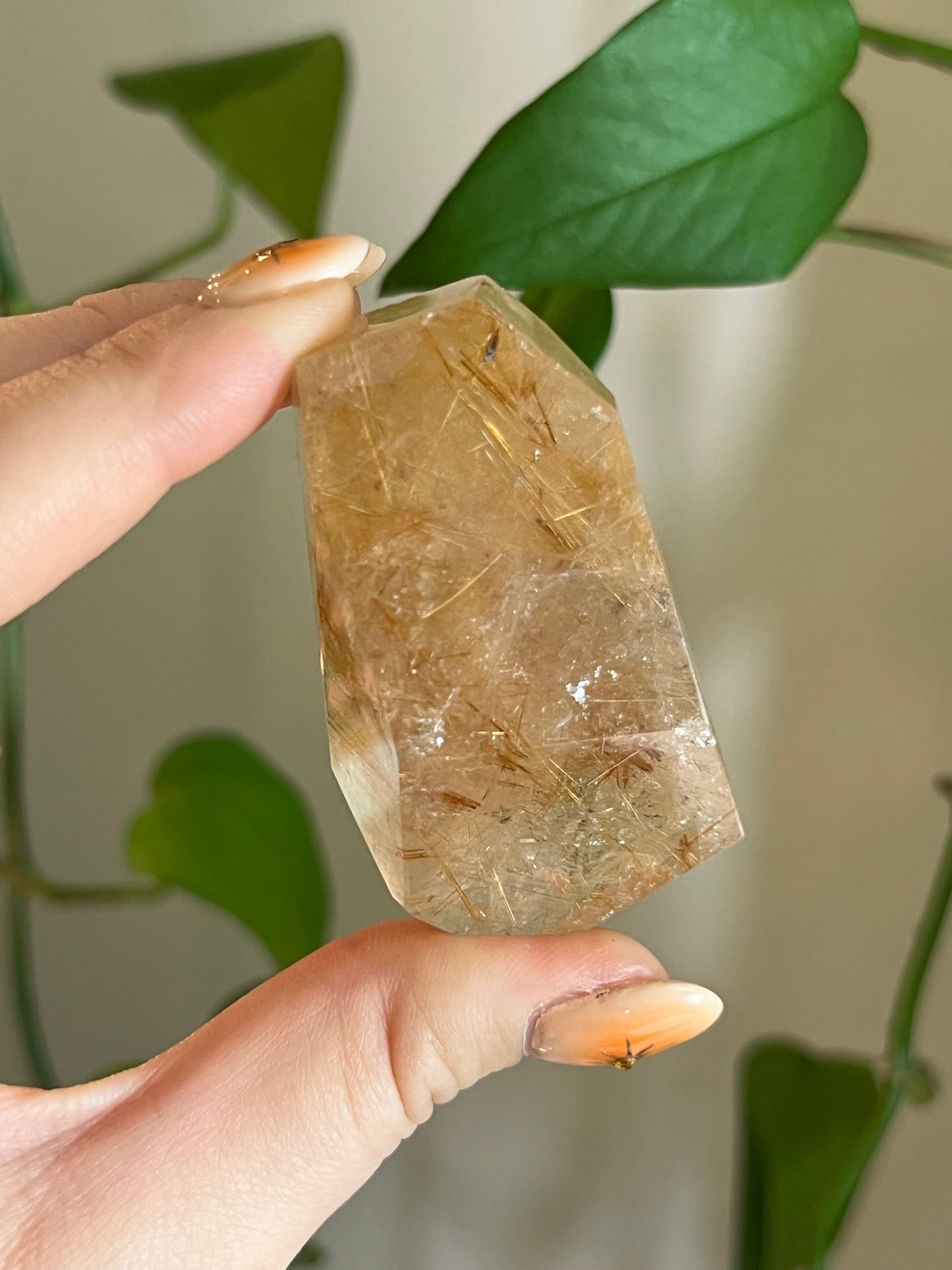 Golden Rutile Quartz Gusher - Y