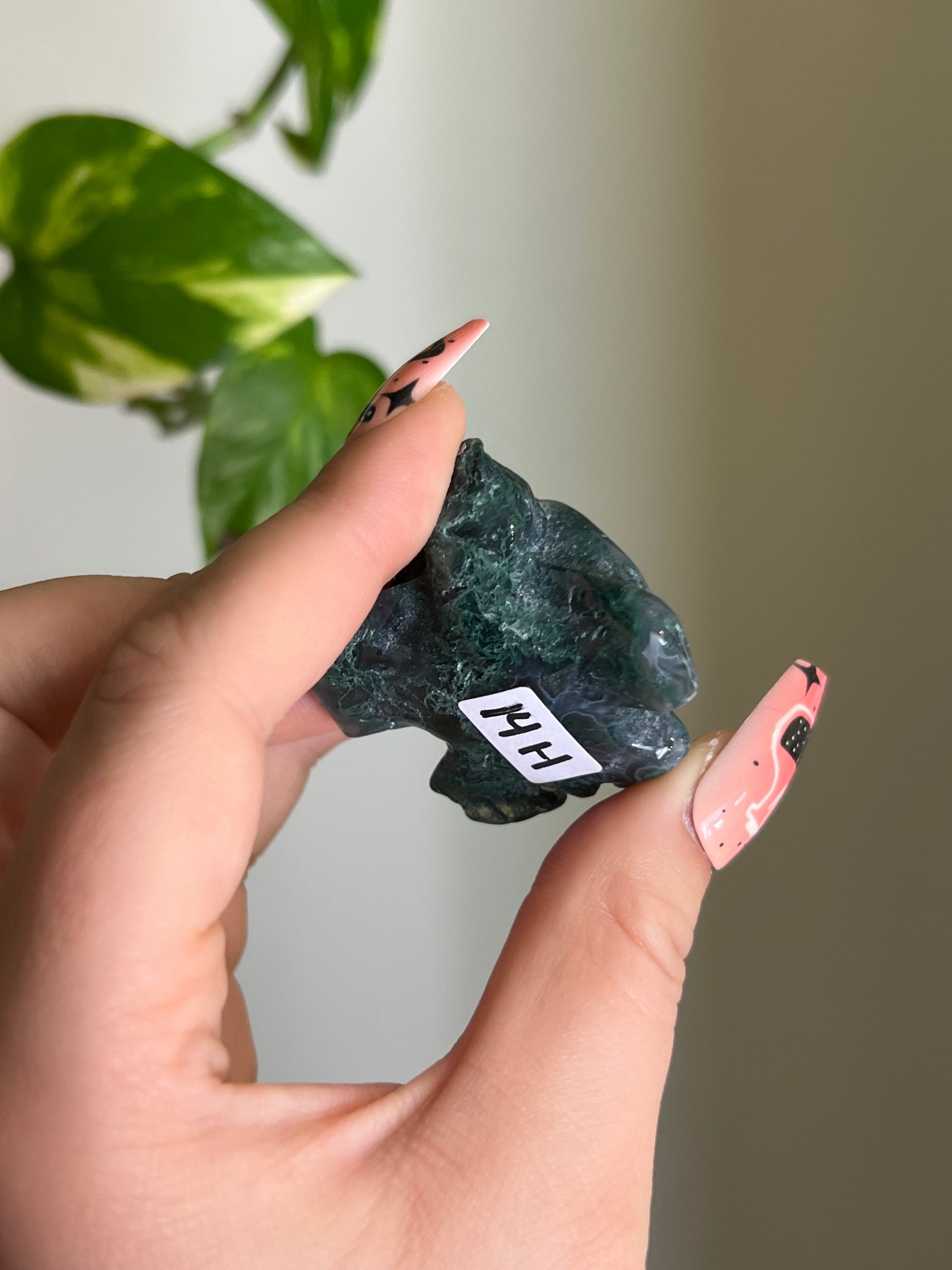 Moss Agate Sea Turtle - H 🐢