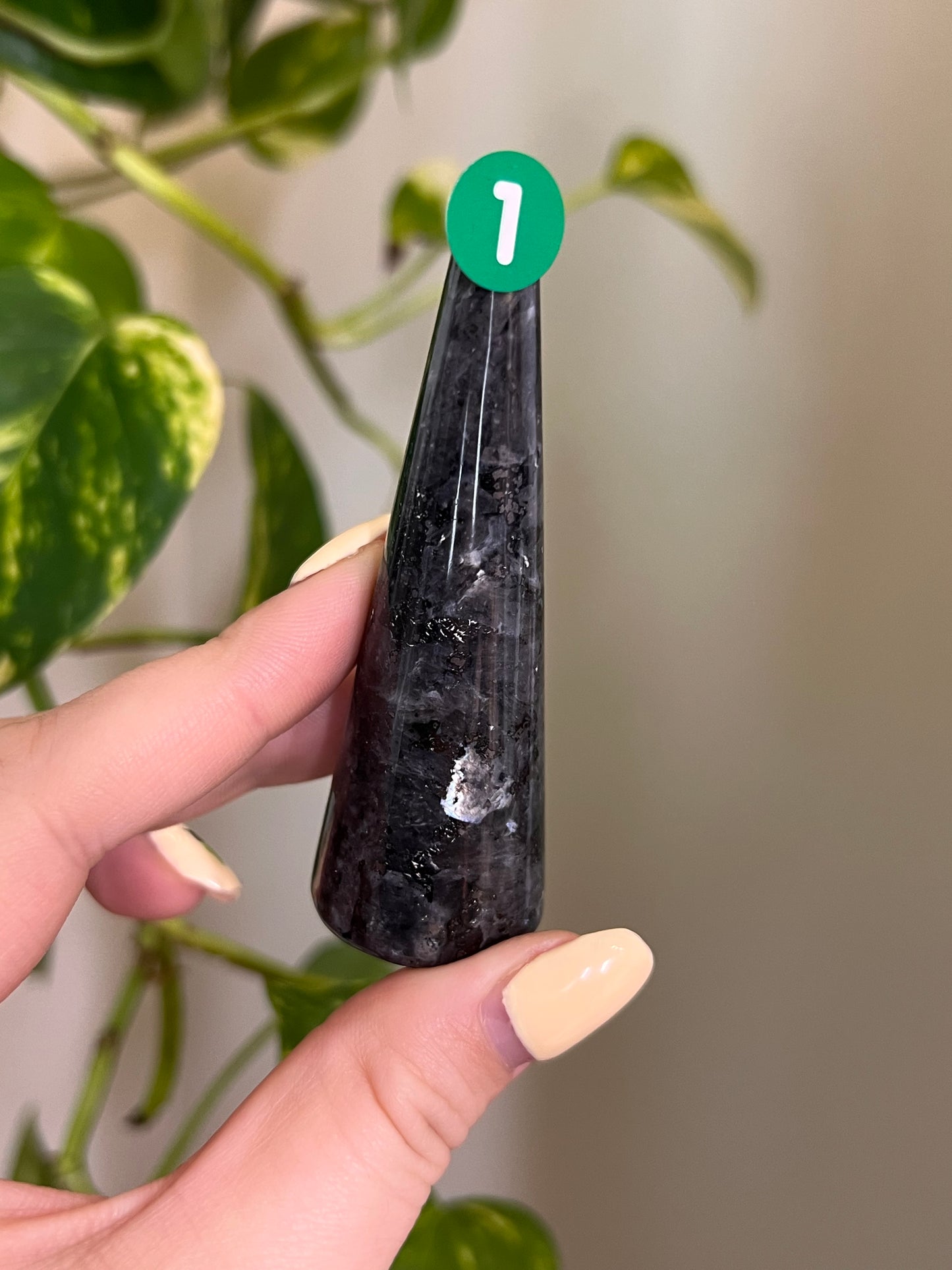 Flashy Larvikite Ring Holder - 1