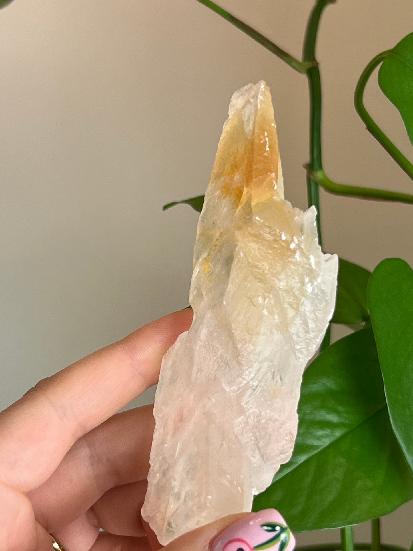 Golden Phantom Selenite Slab