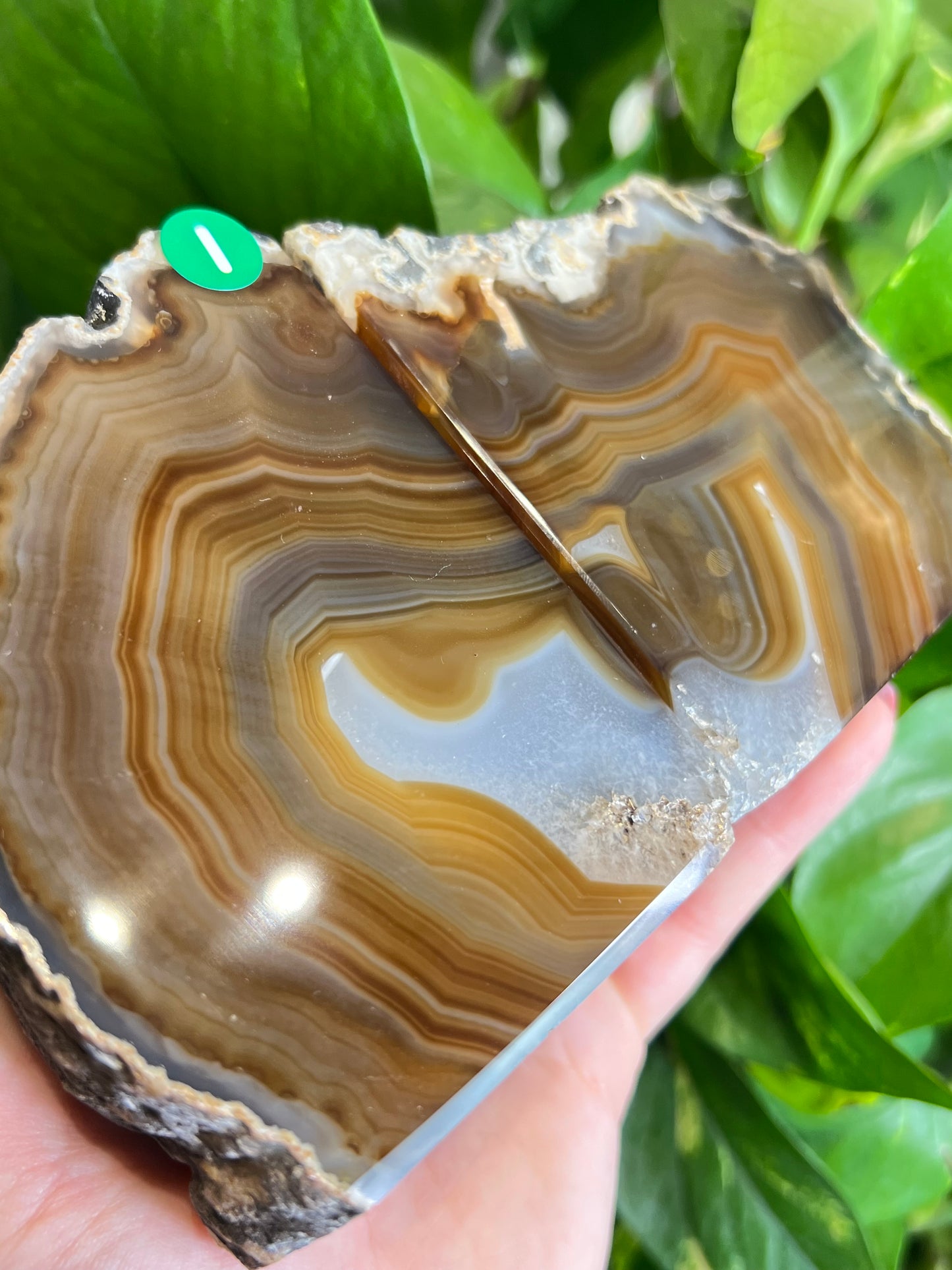 Agate Druzy Bookends - i