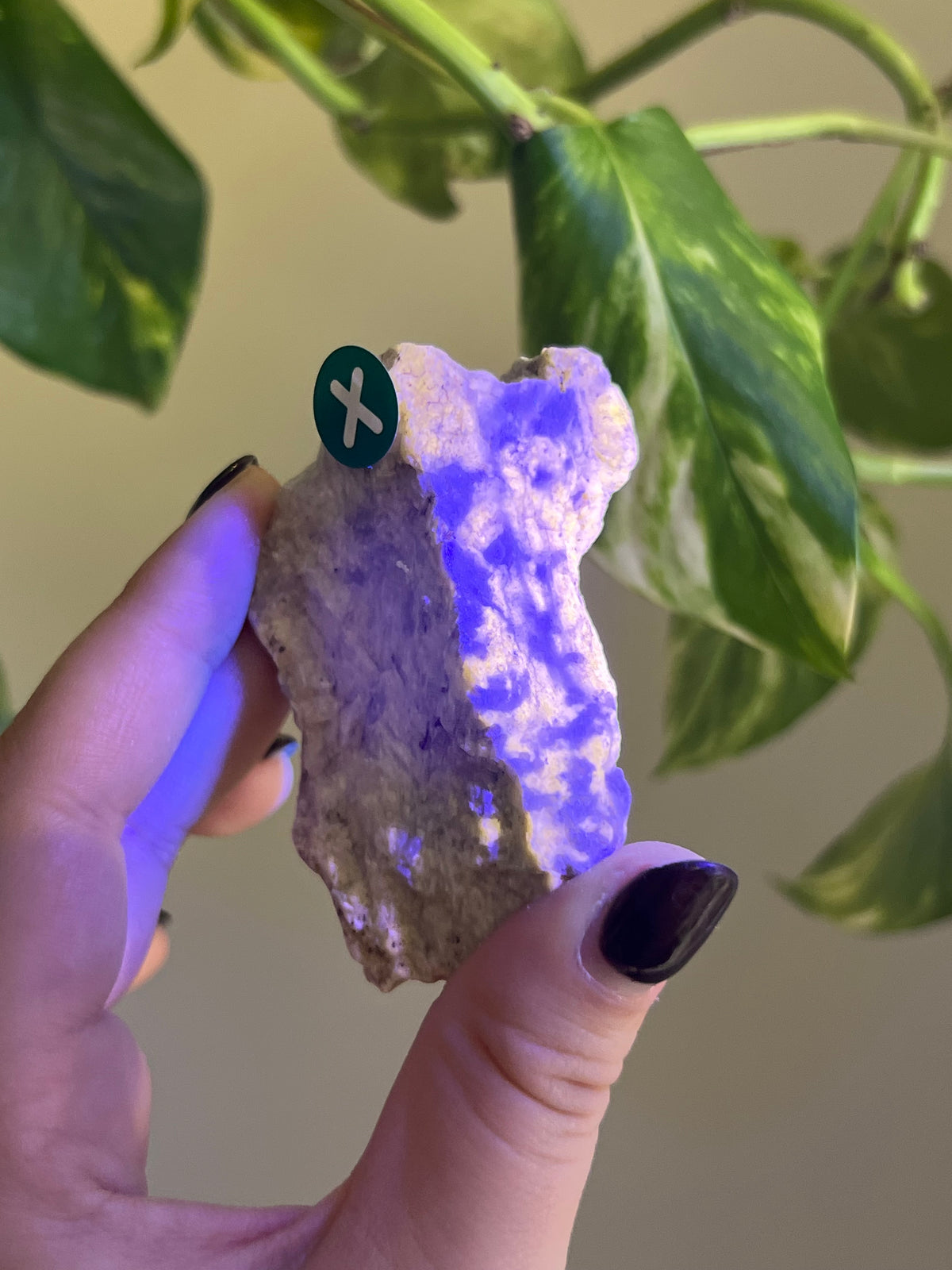 UV Reactive Meionite Scapolite Specimen - X