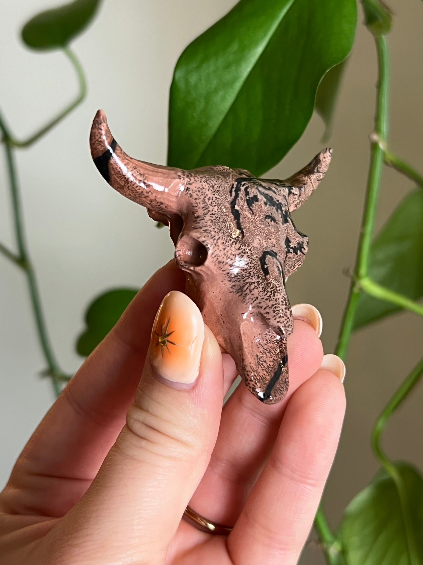 Picture Jasper Cow Skull