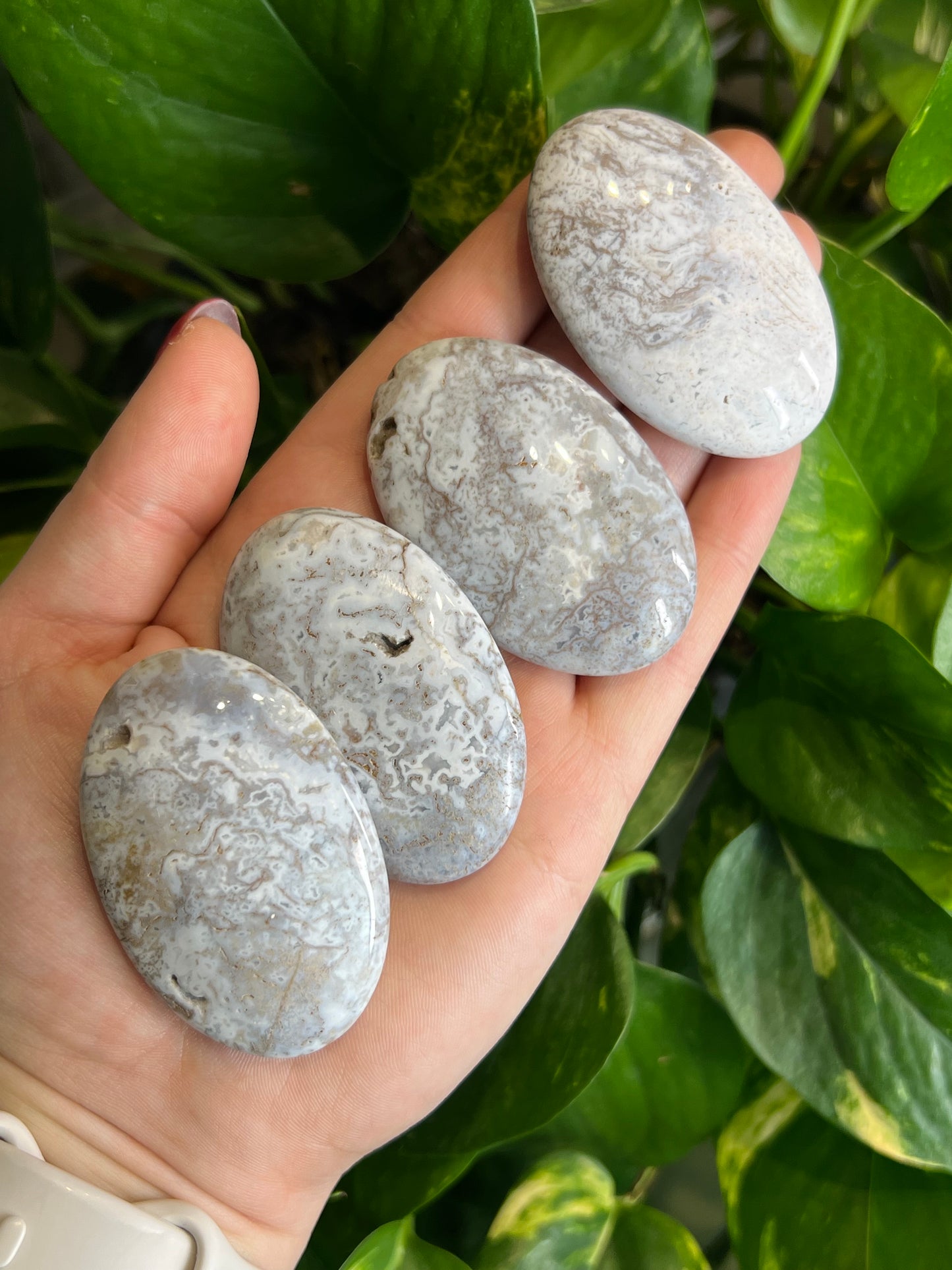 White Ocean Jasper Small Palm