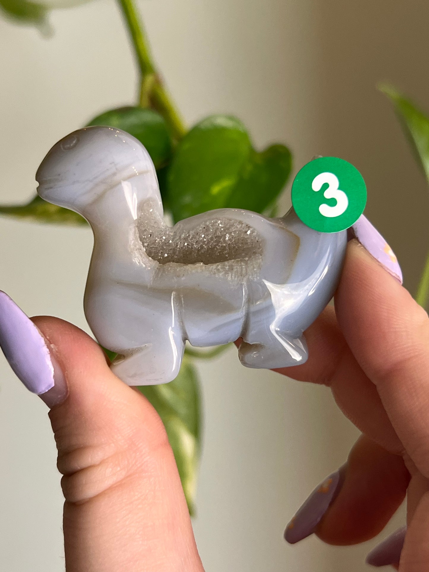Druzy Agate Dinosaur - 3