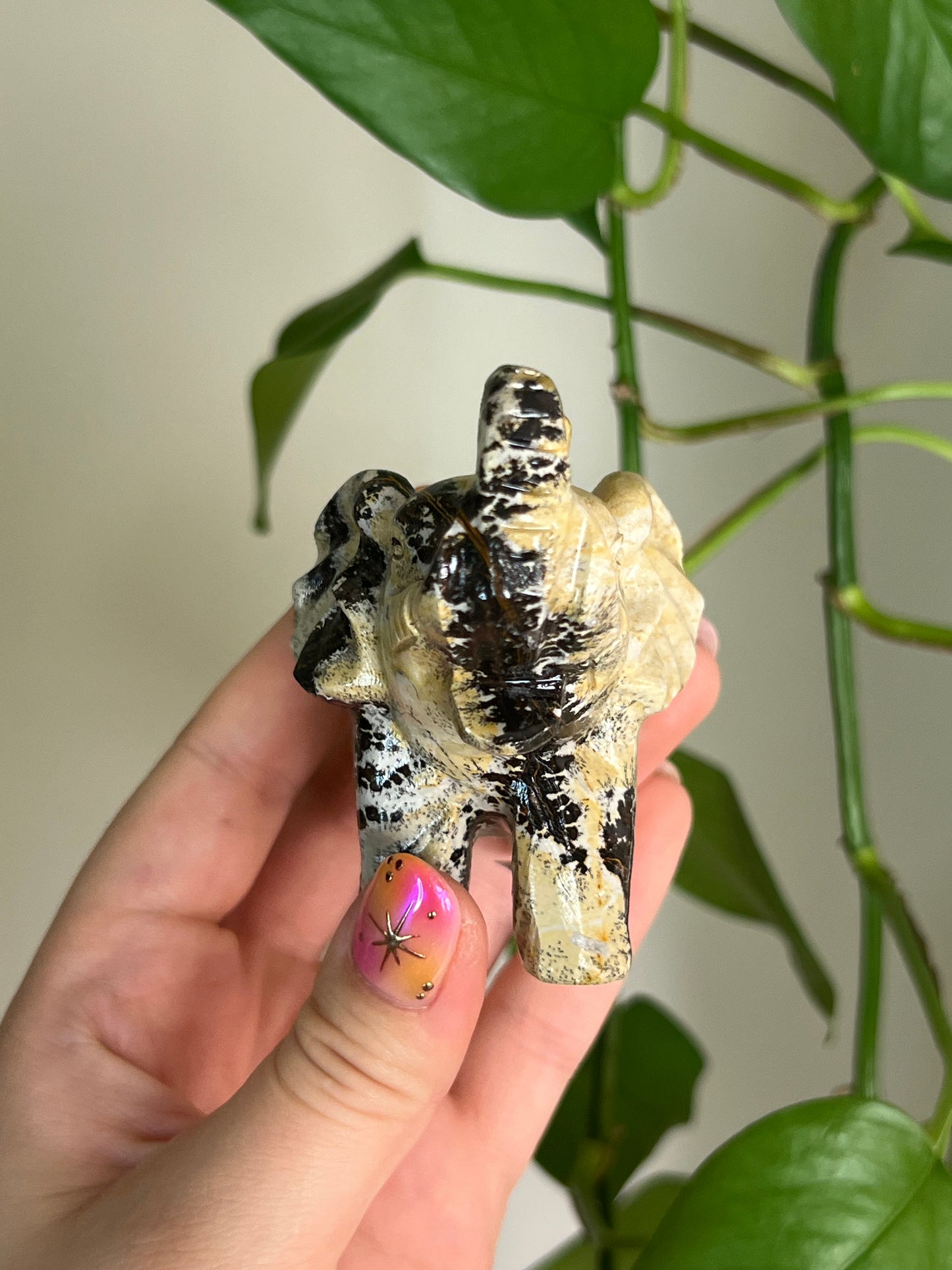 Picture Jasper Elephant - M