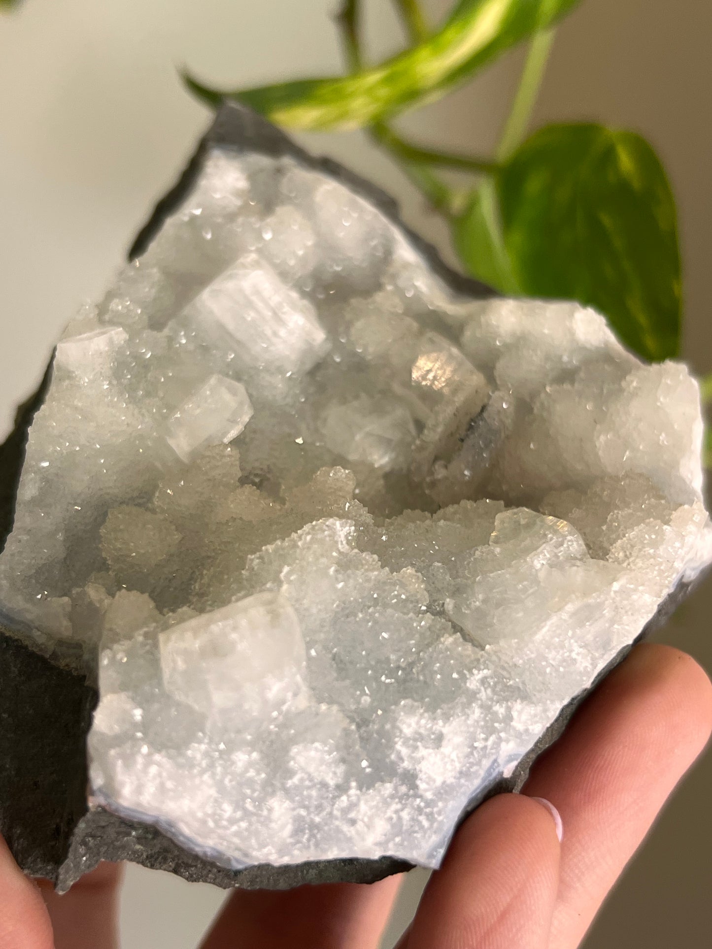 Apophyllite and Chalcedony Cluster - R