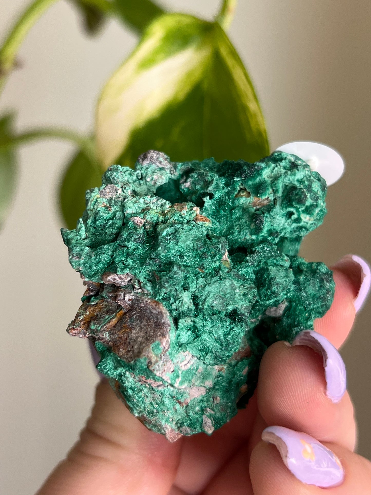 Fibrous Malachite - V