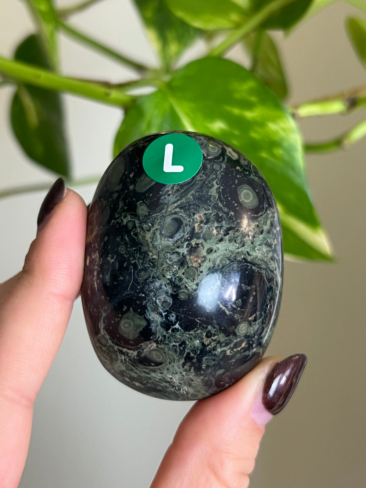 Kambaba Jasper Palm Stone - L