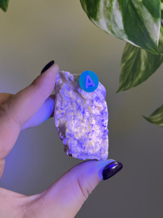 UV Reactive Meionite Scapolite Specimen - A