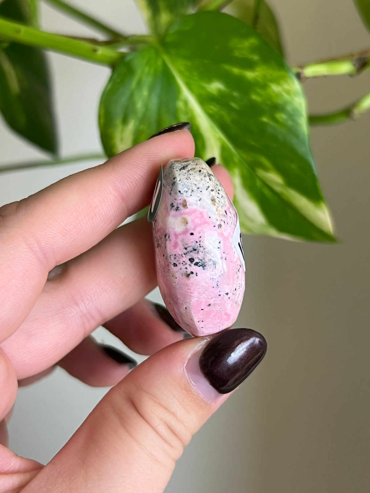 Bubblegum Peruvian Rhodonite Small Palm Stone - W