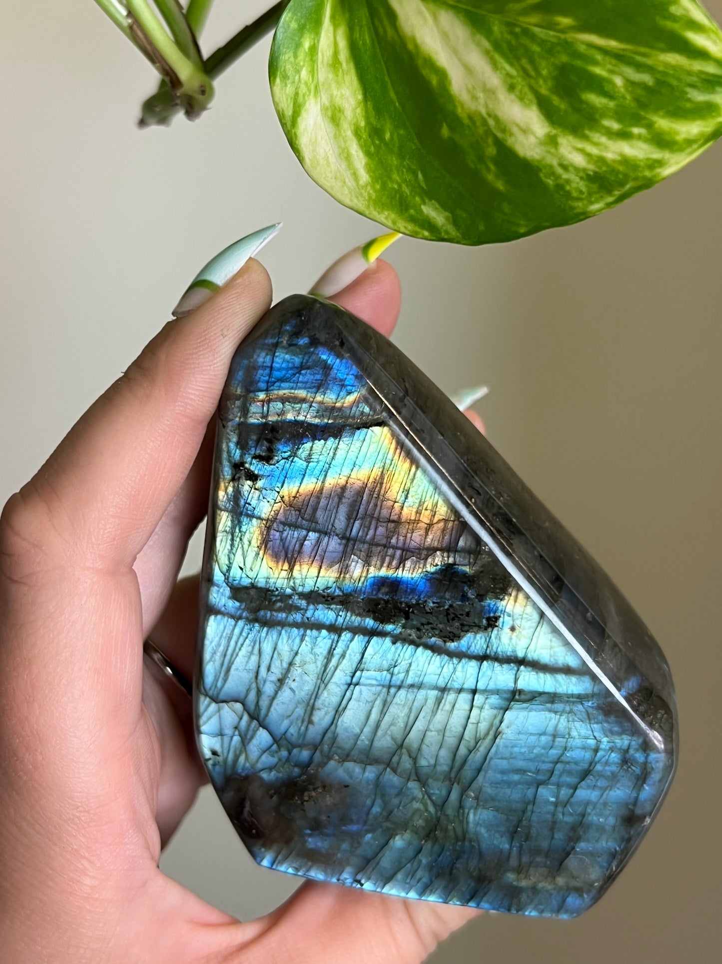 Flashy Labradorite Freeform - Y