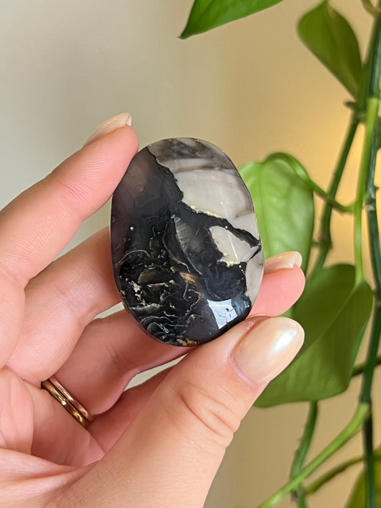 Volcano Agate Palm Stone - Small