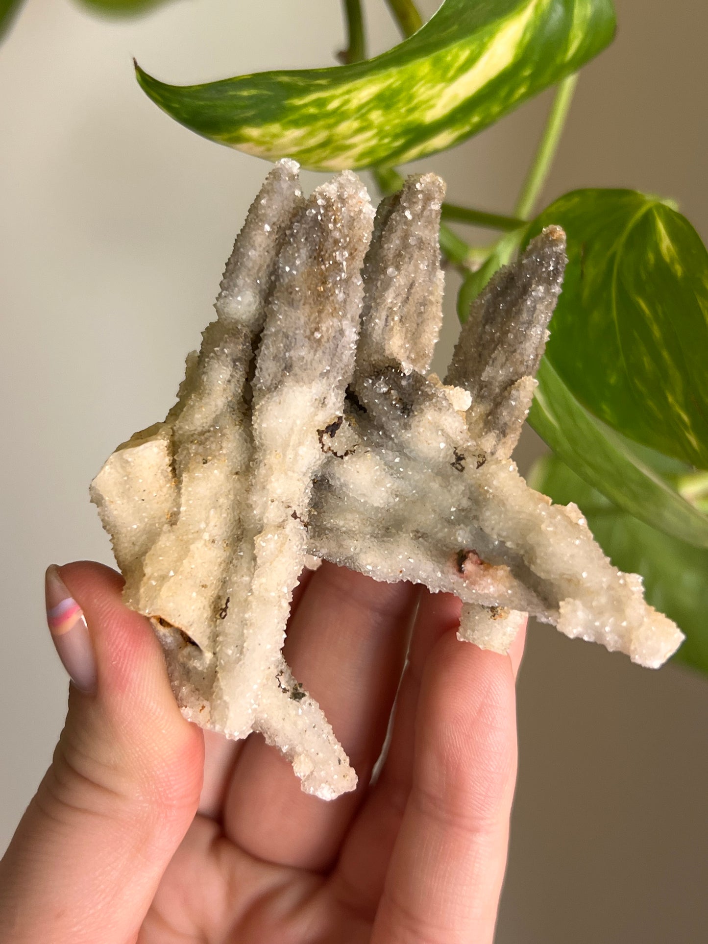 Druzy Calcite Pseudomorph - V