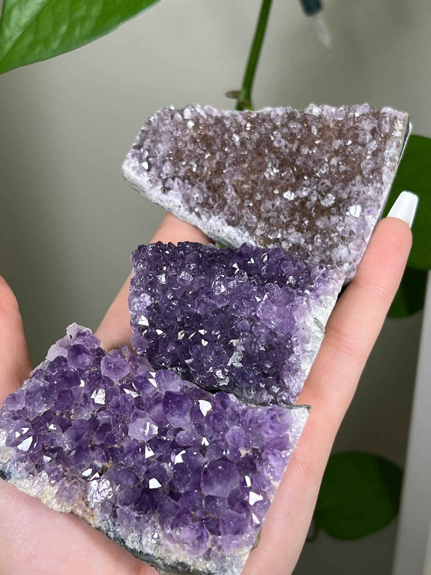 Amethyst Cluster Cut Base Freeform