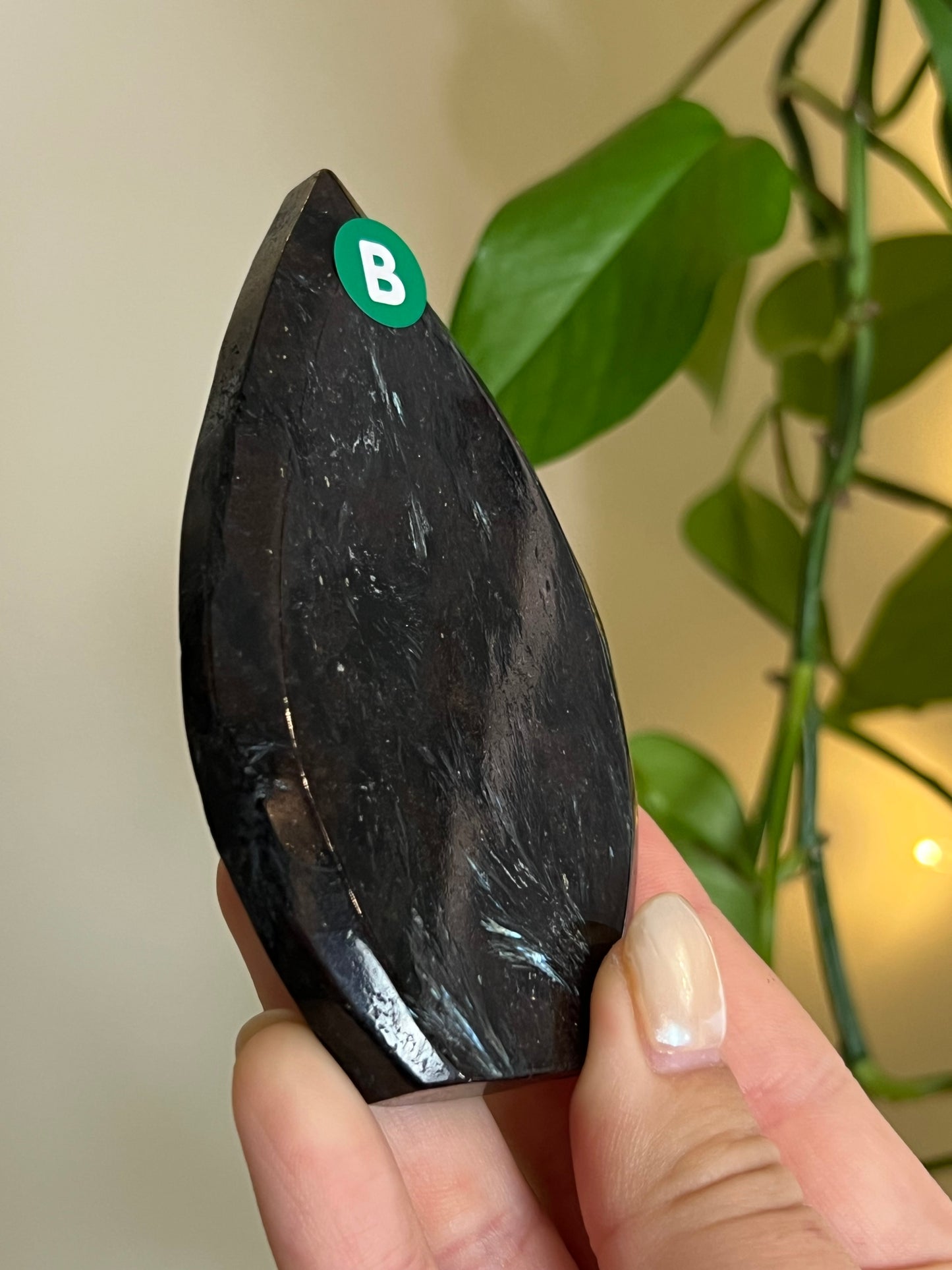 Astrophyllite on Matrix Freeform - B