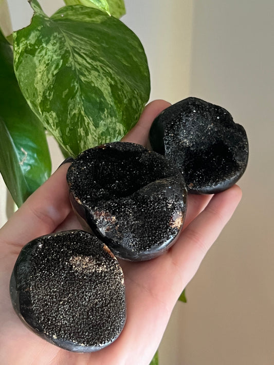 Druzy Septarian Palm Stone/Egg