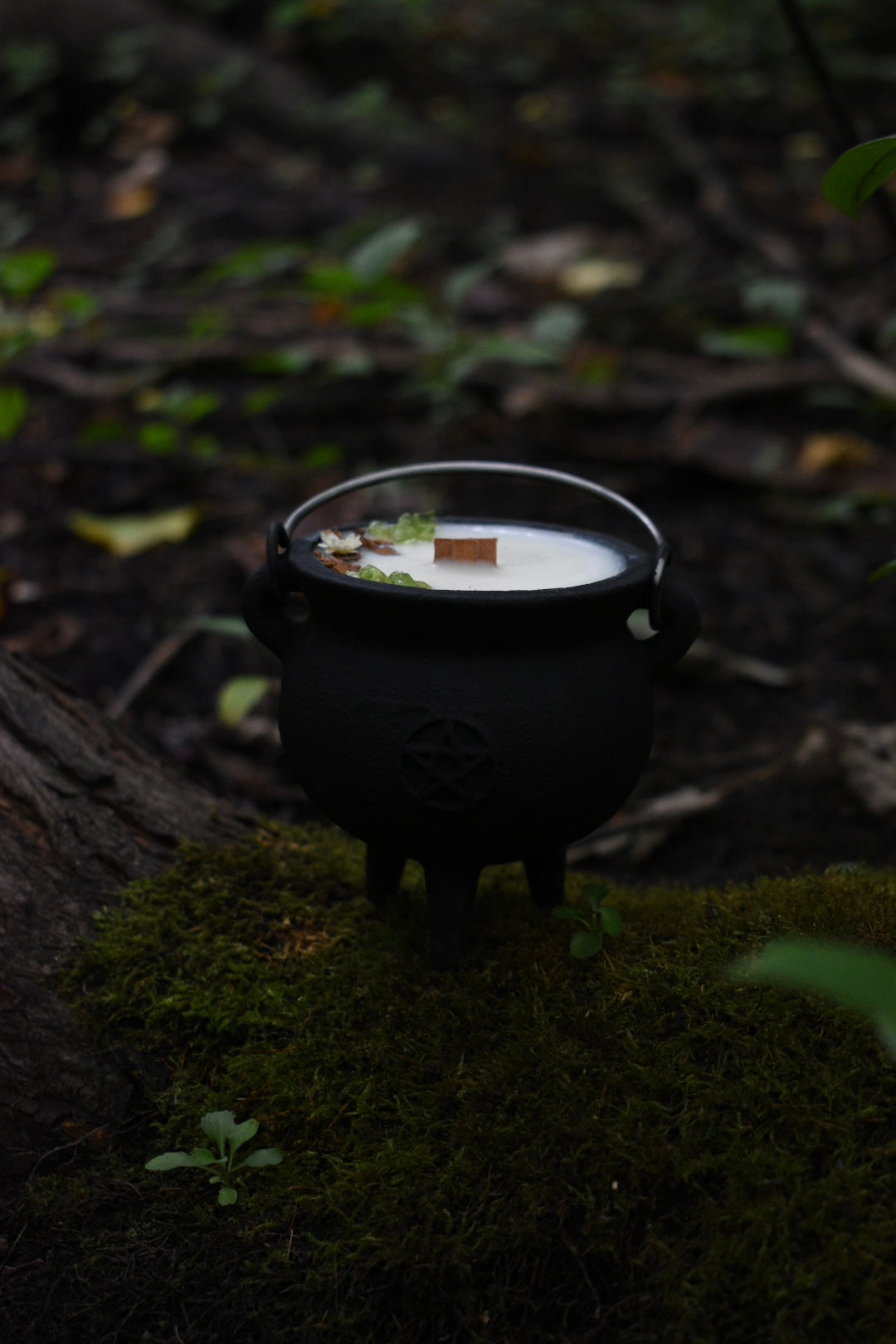 Mabon Magic Cauldron Candle | Spiced Apple Cider 🍏