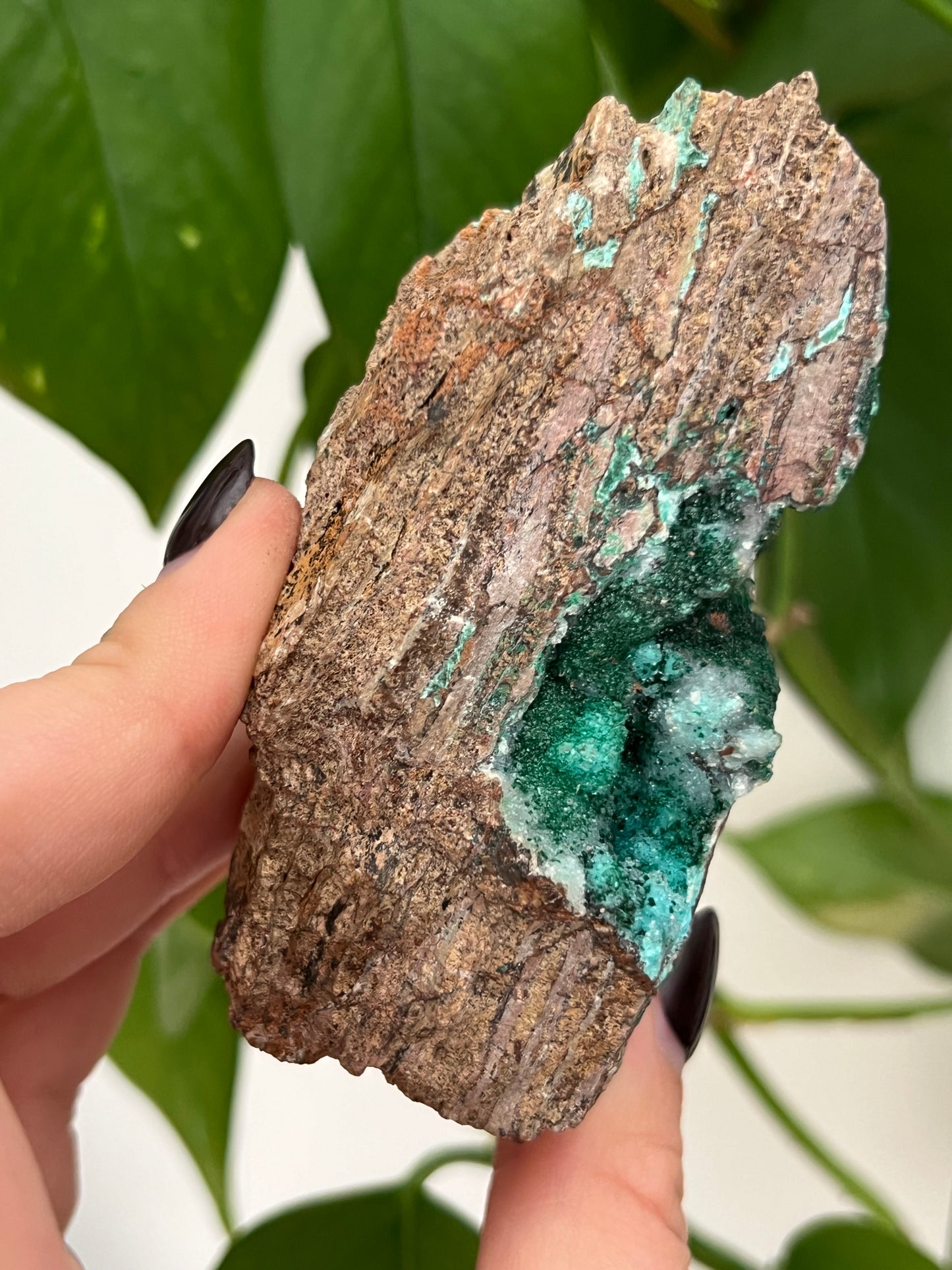 Botryoidal Malachite, Dolomite, Druzy Chrysocolla P