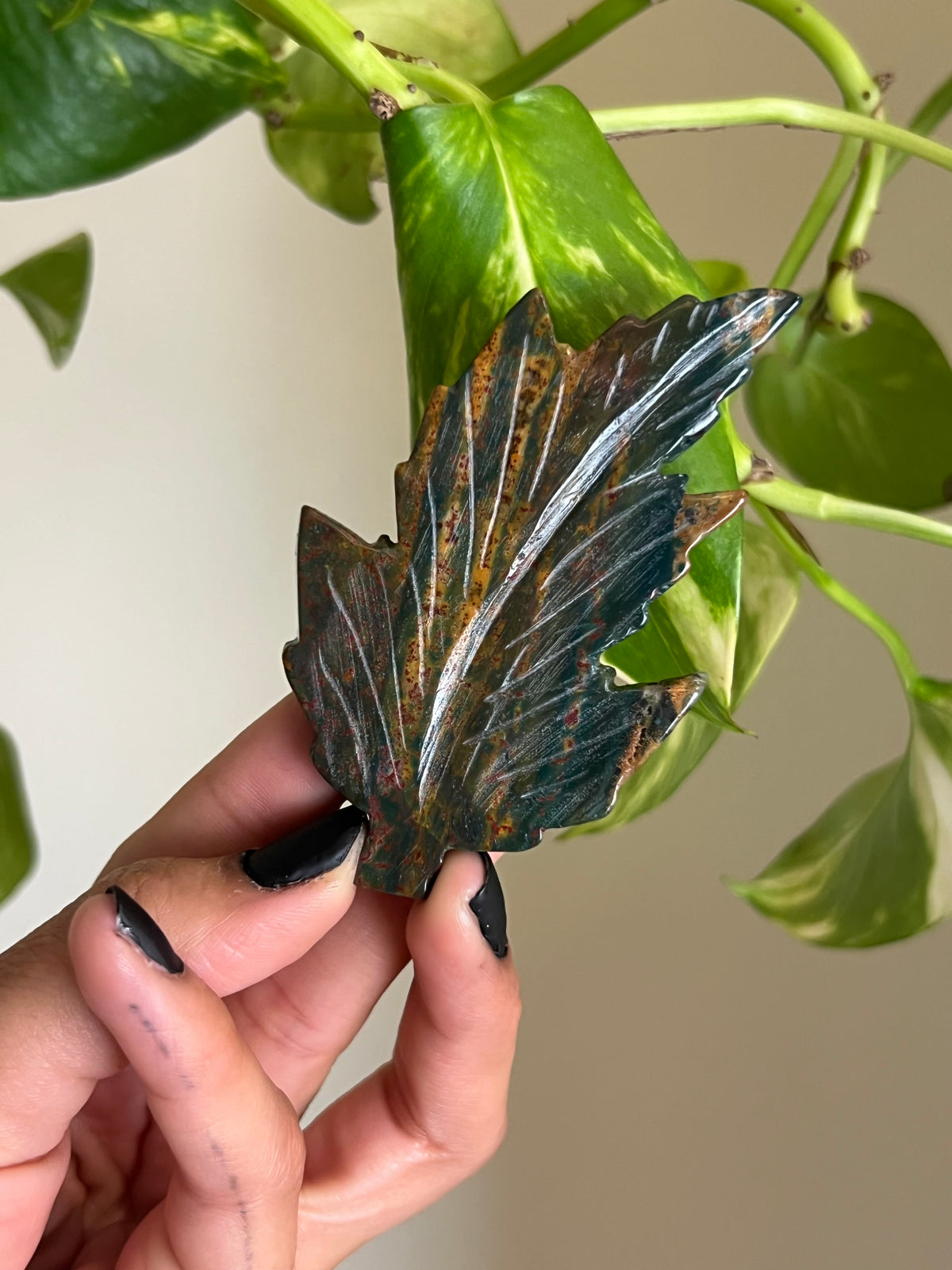 Ocean Jasper Leaf 🍂