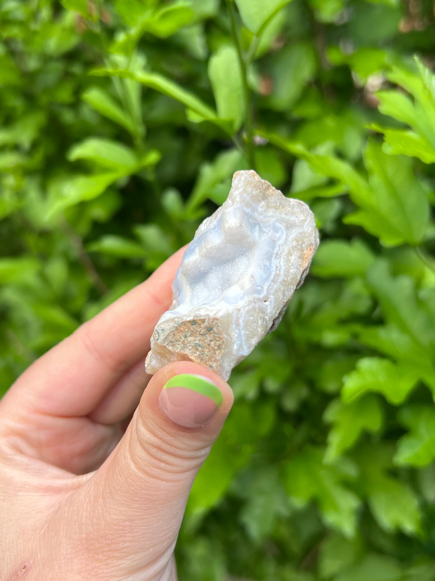 Druzy Blue Lace Agate Geode - B