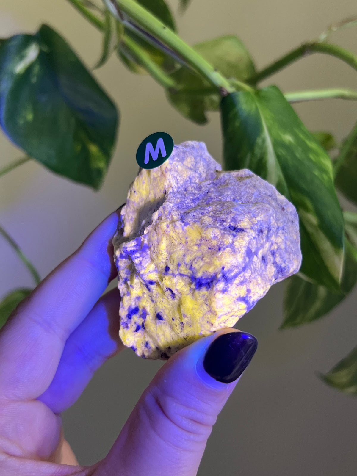 UV Reactive Meionite Scapolite Specimen - M