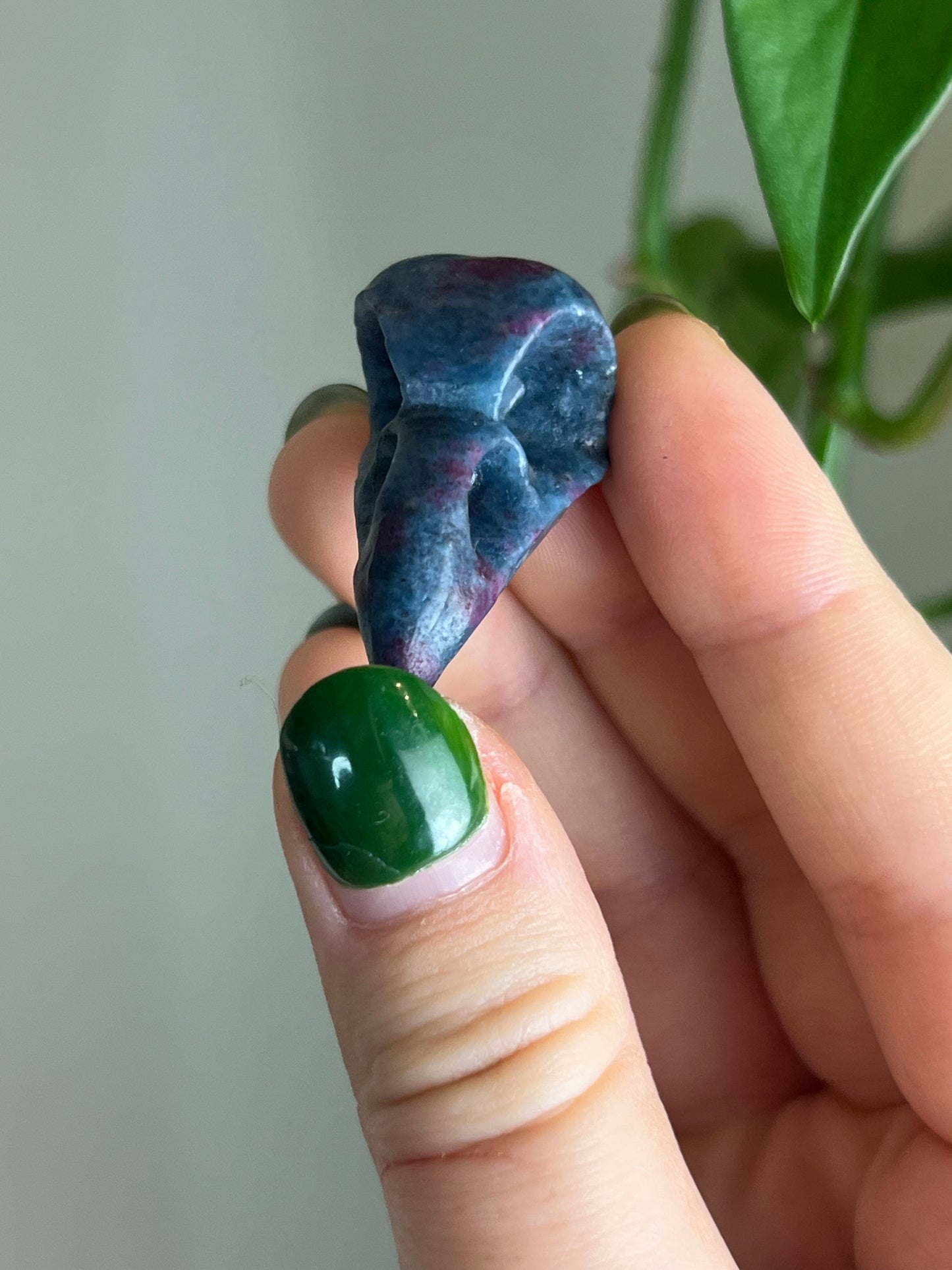 Ruby in Kyanite Raven