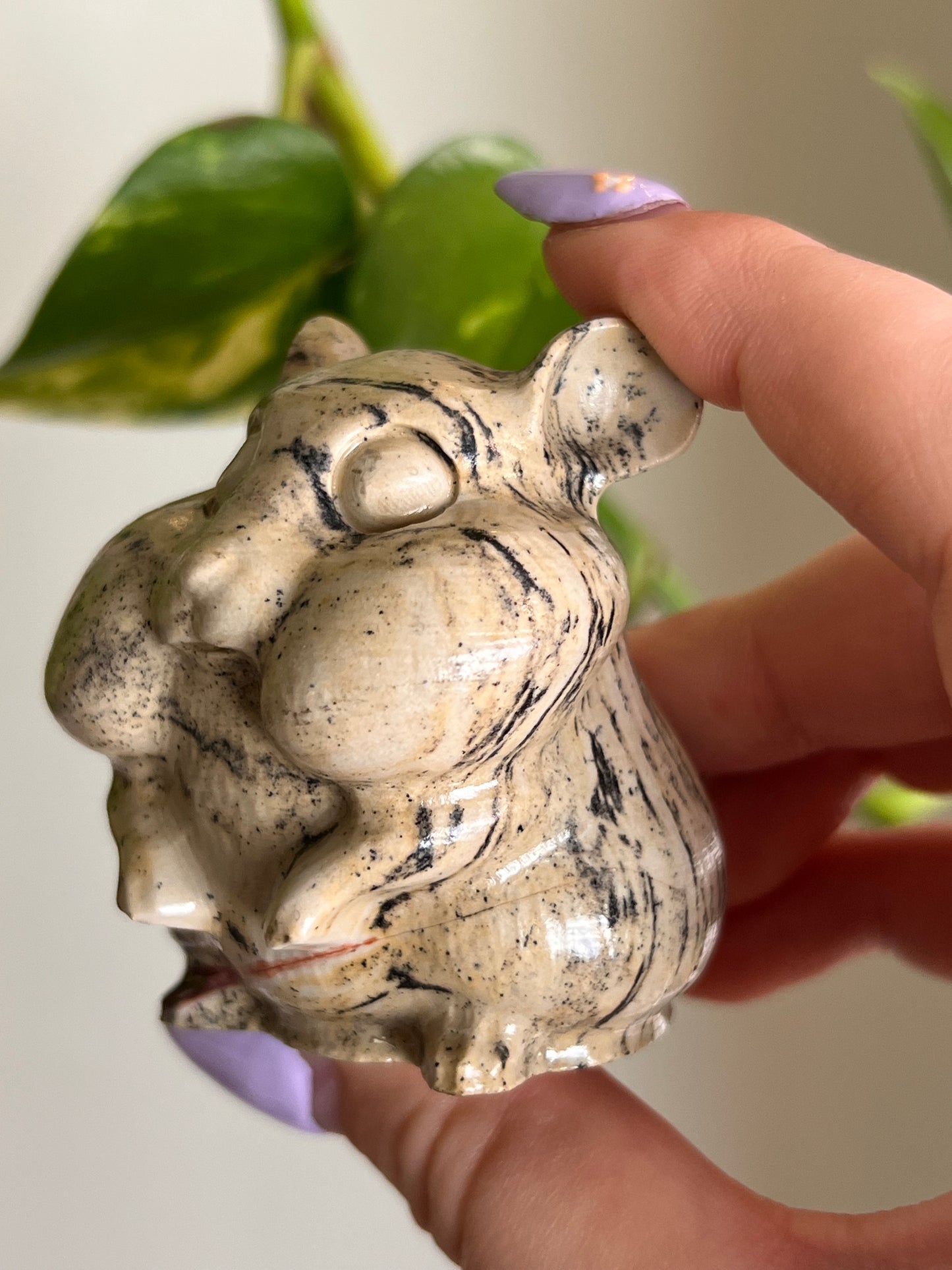 Picture Jasper Hamster