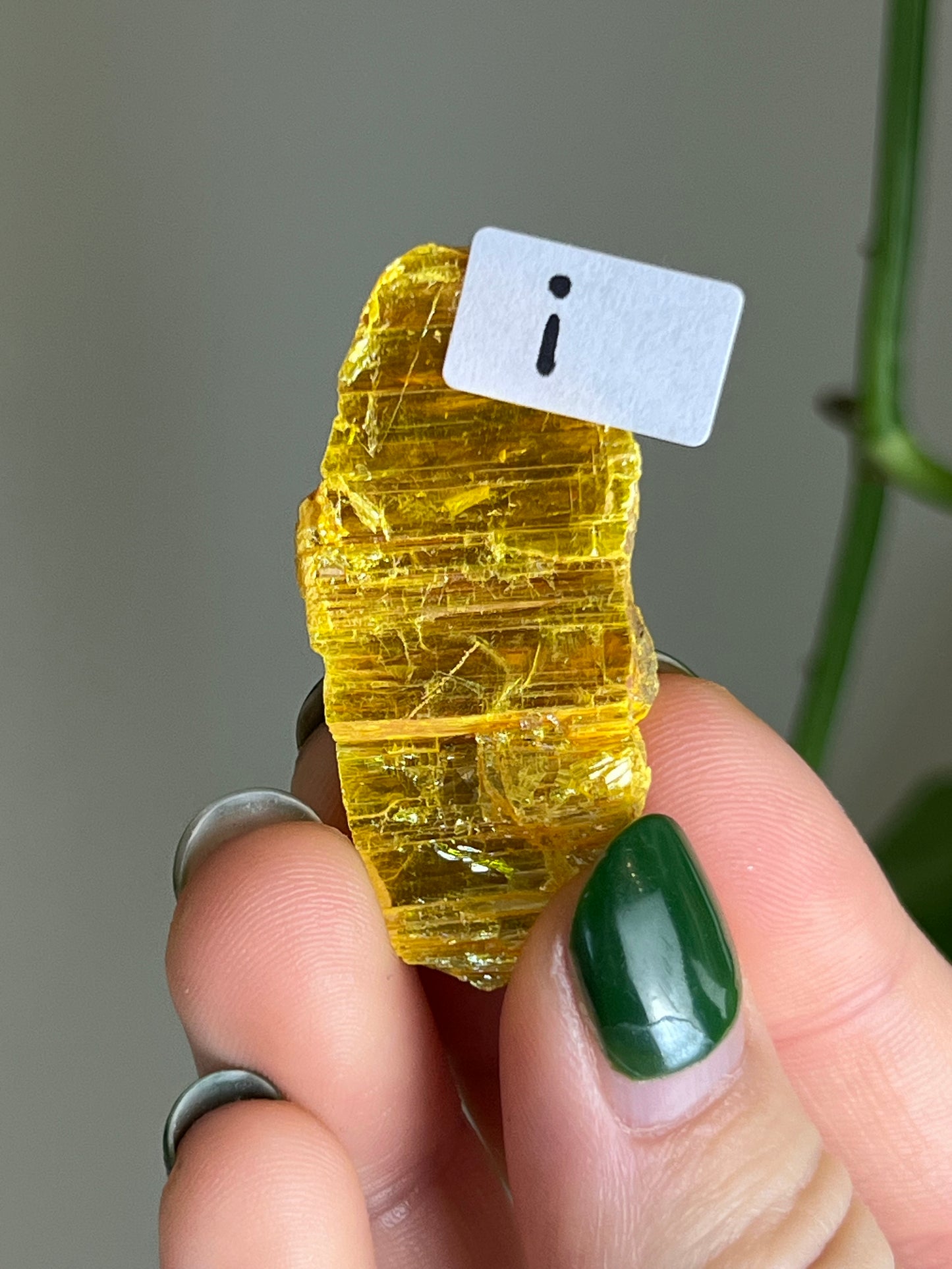 Orpiment Specimen - RARE - i