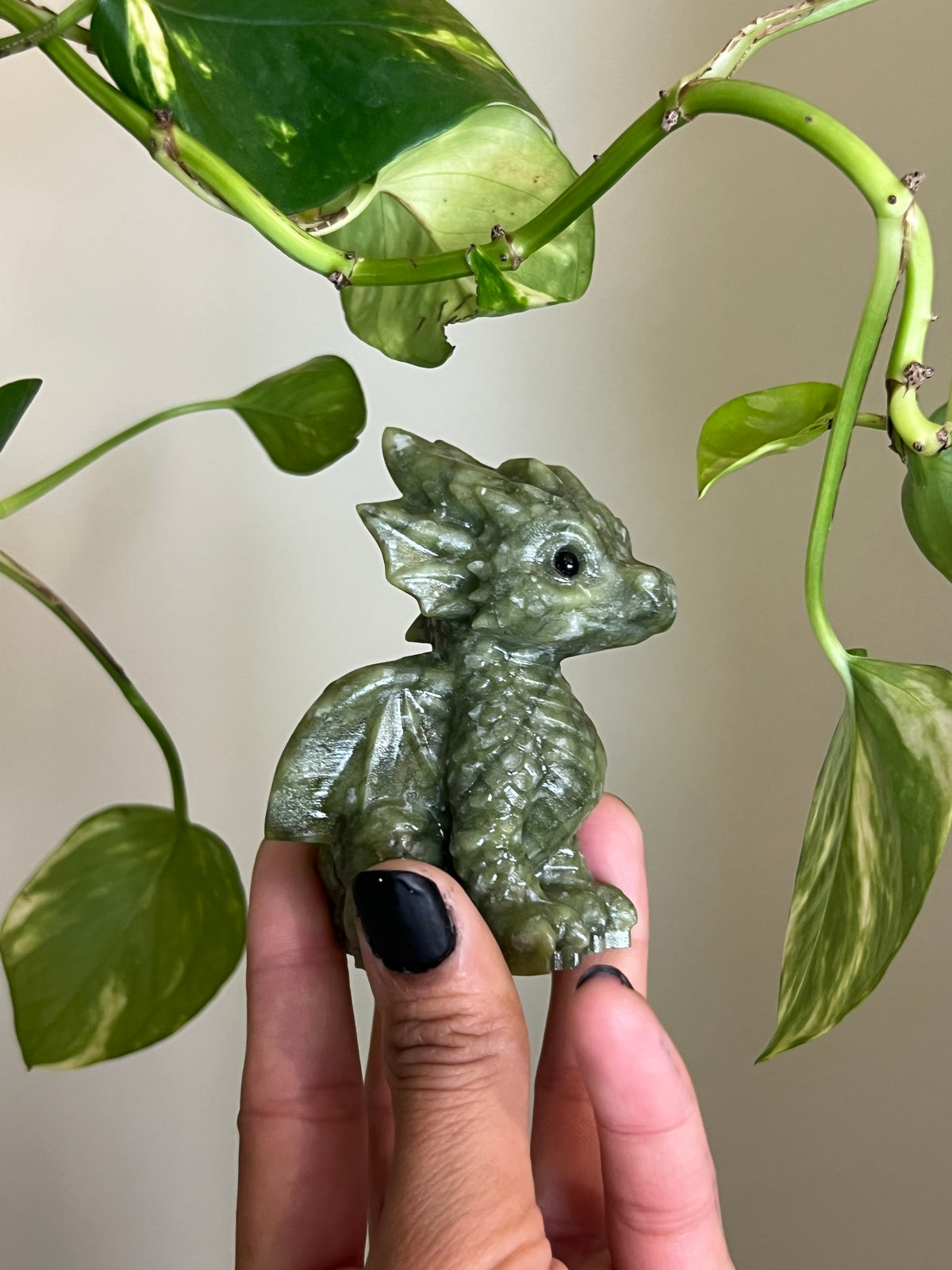 Jade Dragon