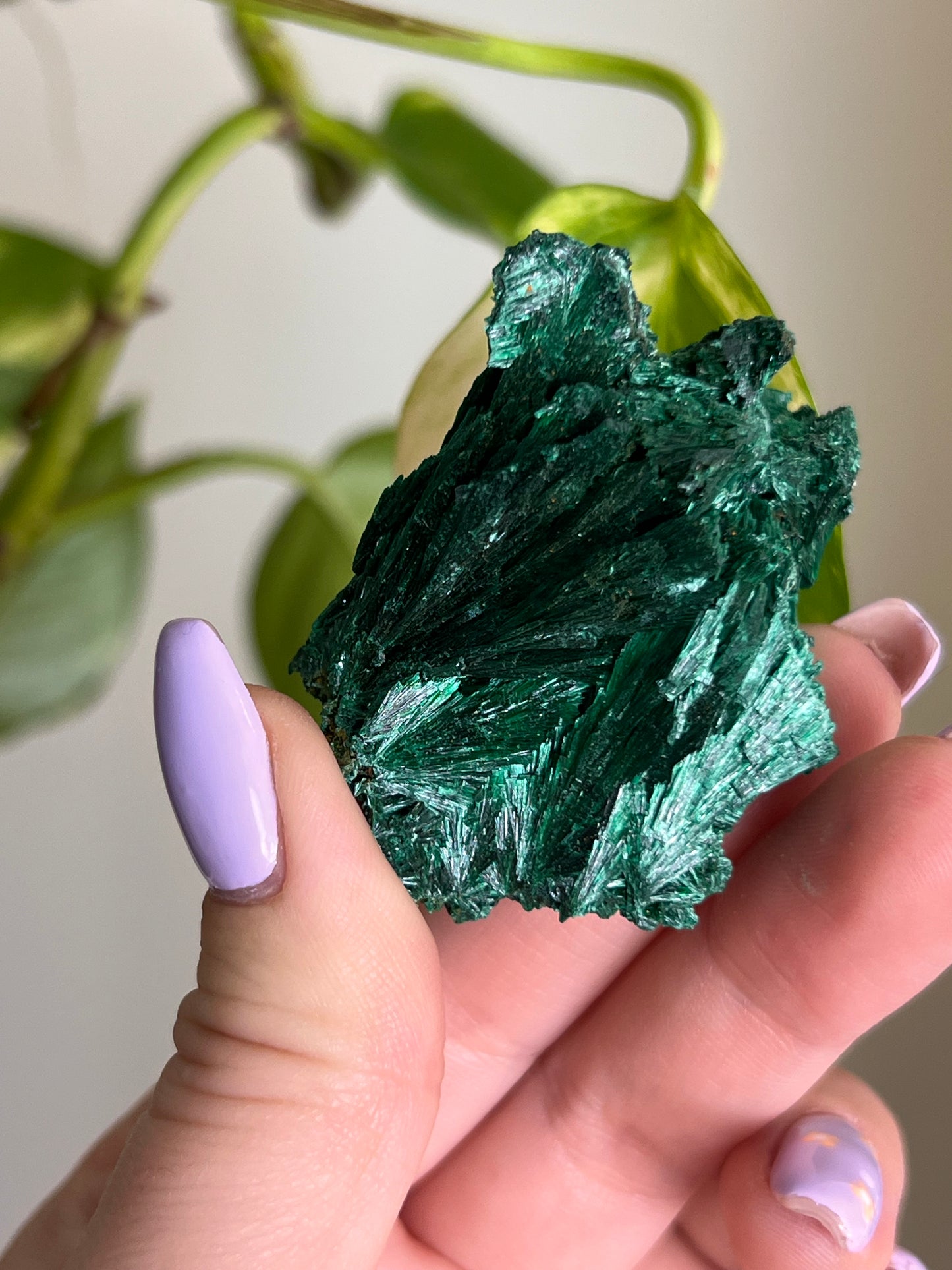Fibrous Malachite - R