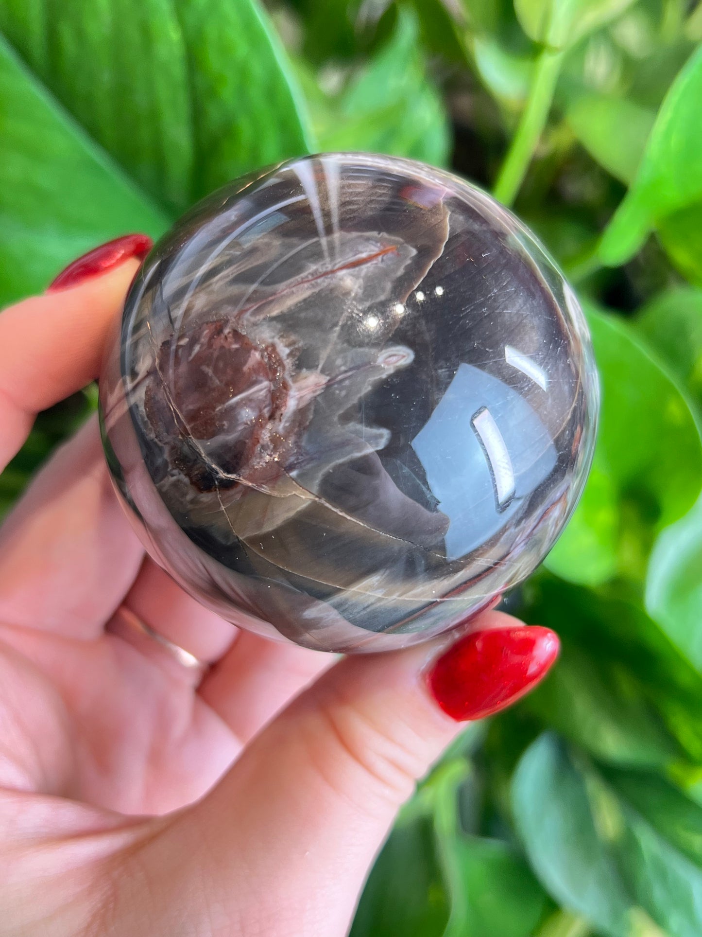 Petrified Wood Sphere - S