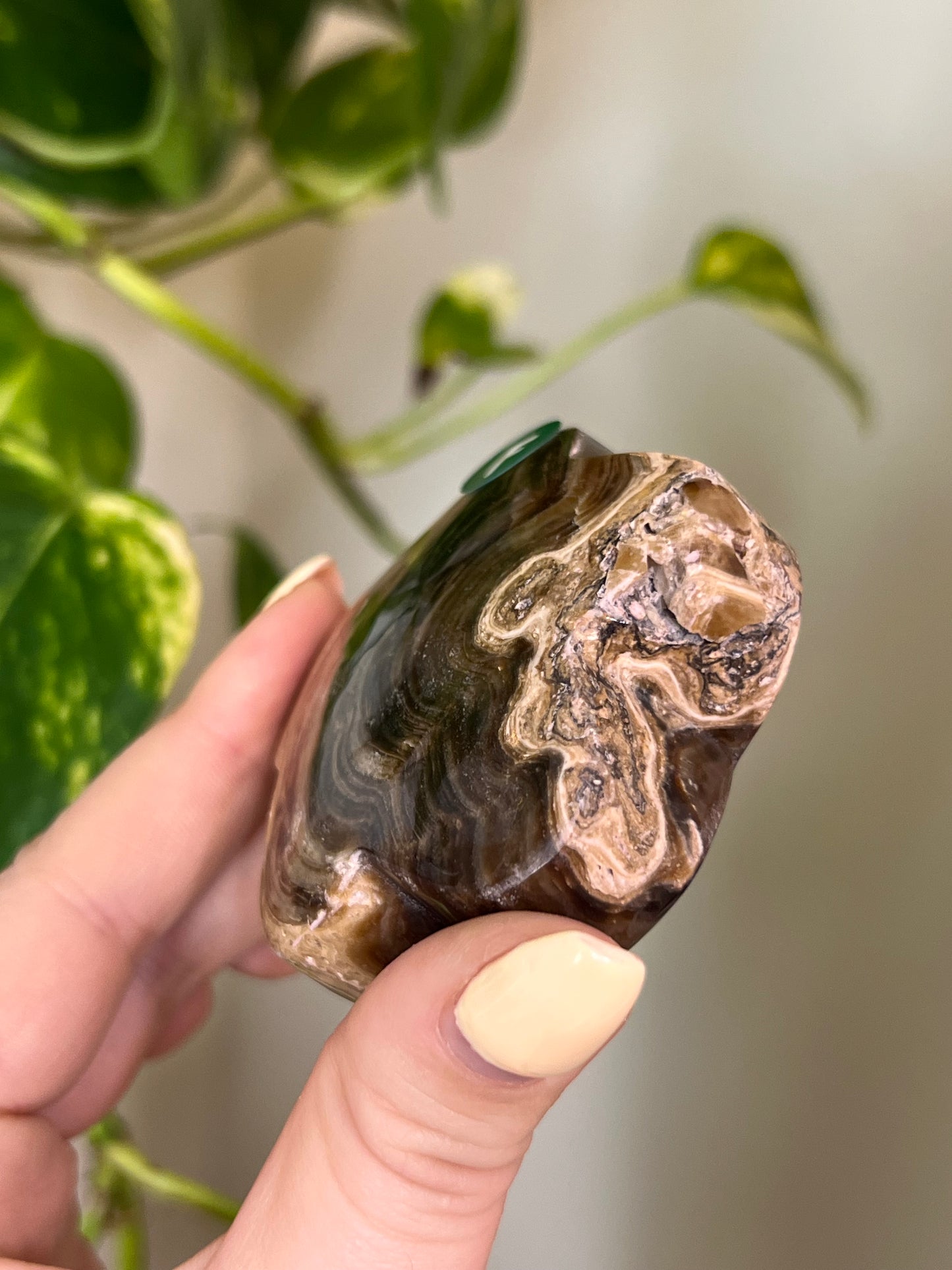Chocolate Swirl Calcite Groovy Flower - F