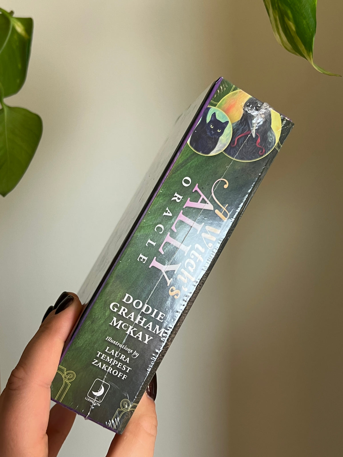 A Witch's Ally Oracle Deck