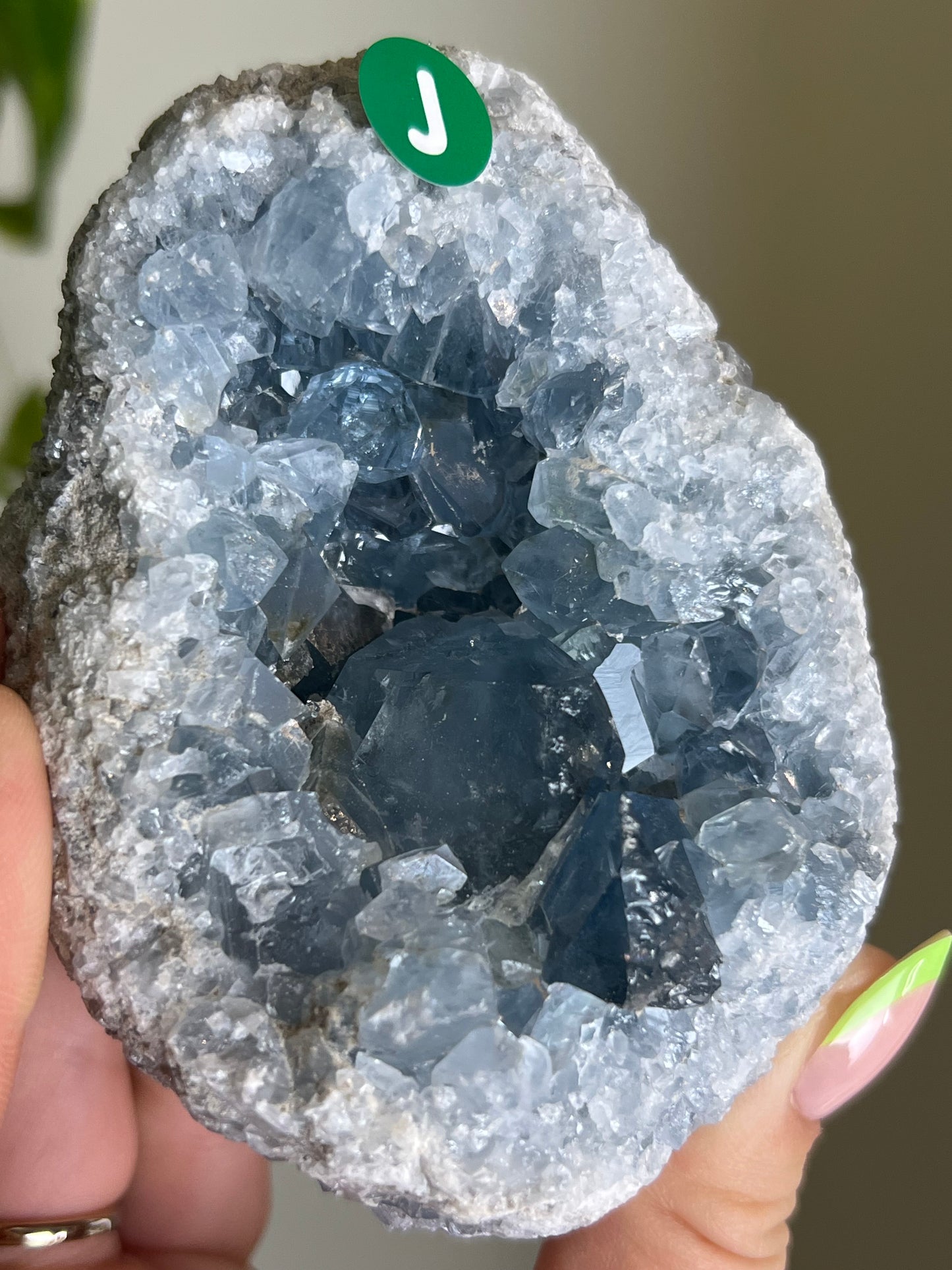 Celestite Cluster - J 🌊