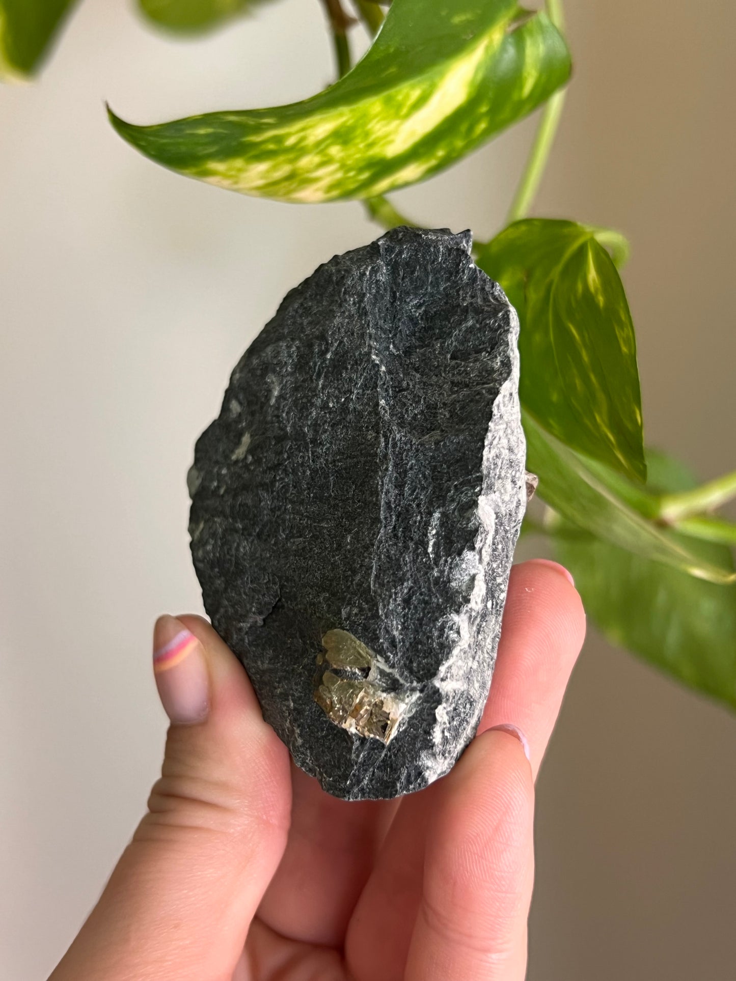 Pyrite on Matrix - Ontario - Z