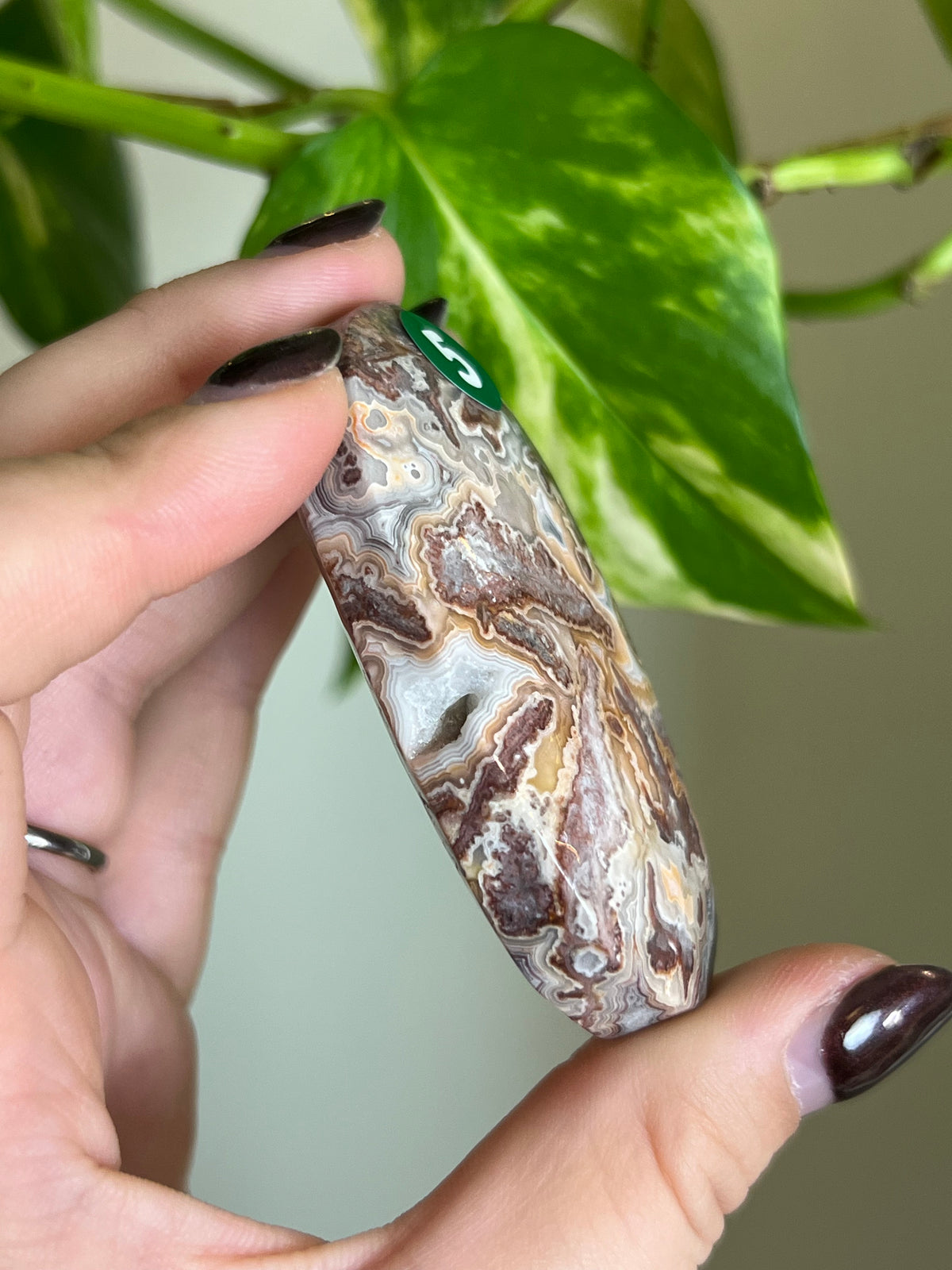 Druzy Mexican Lace Agate Palm Stone - 5