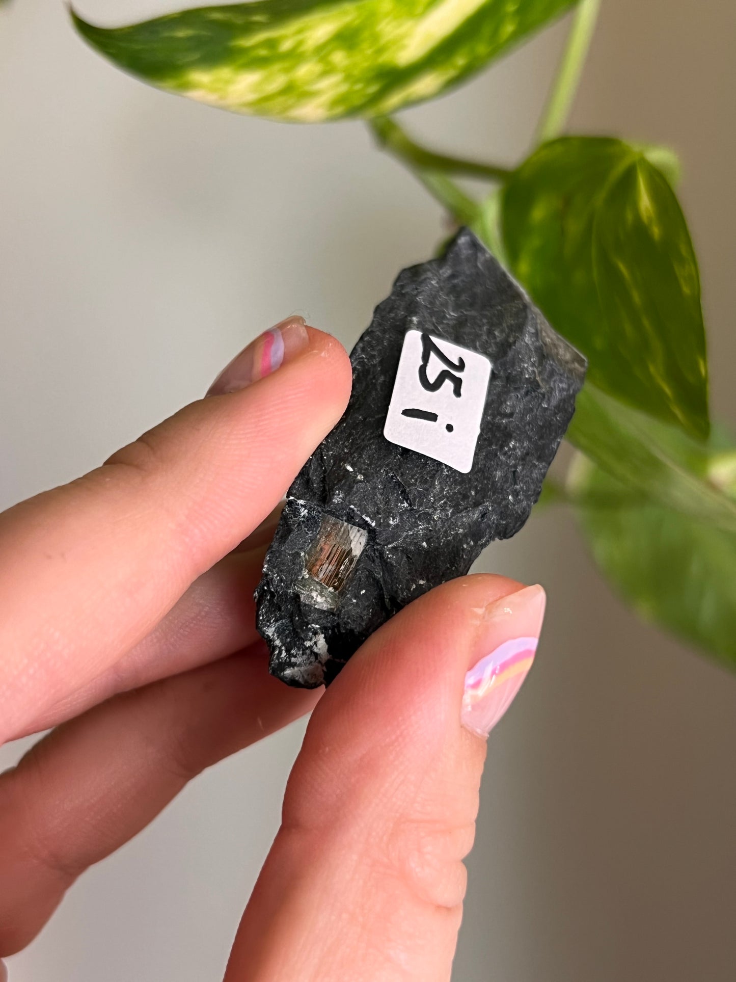 Pyrite on Matrix - Ontario - I