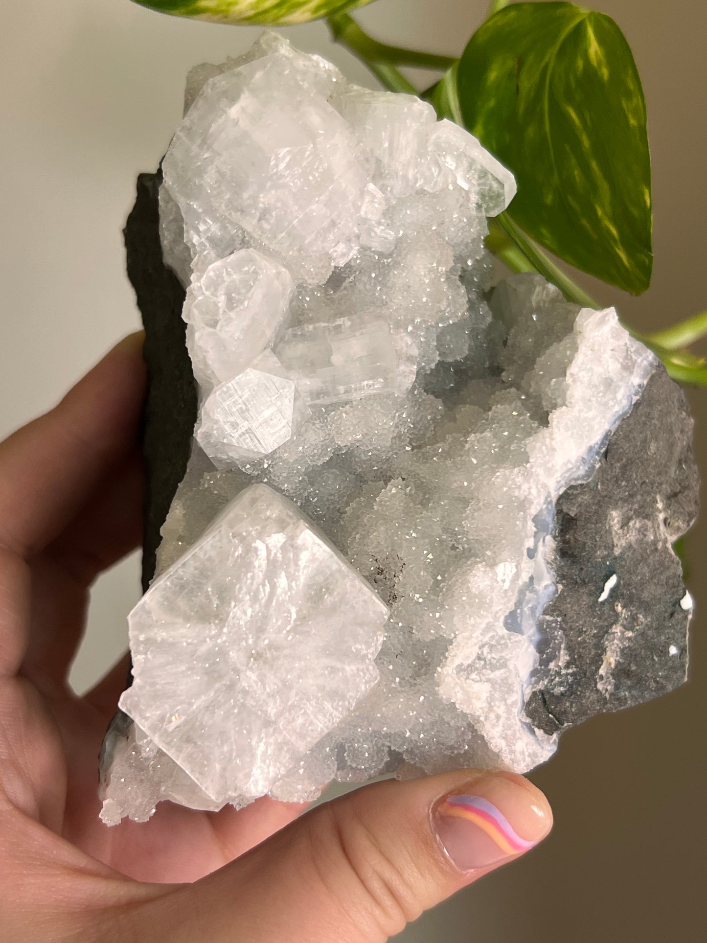 Apophyllite and Chalcedony Cluster - X