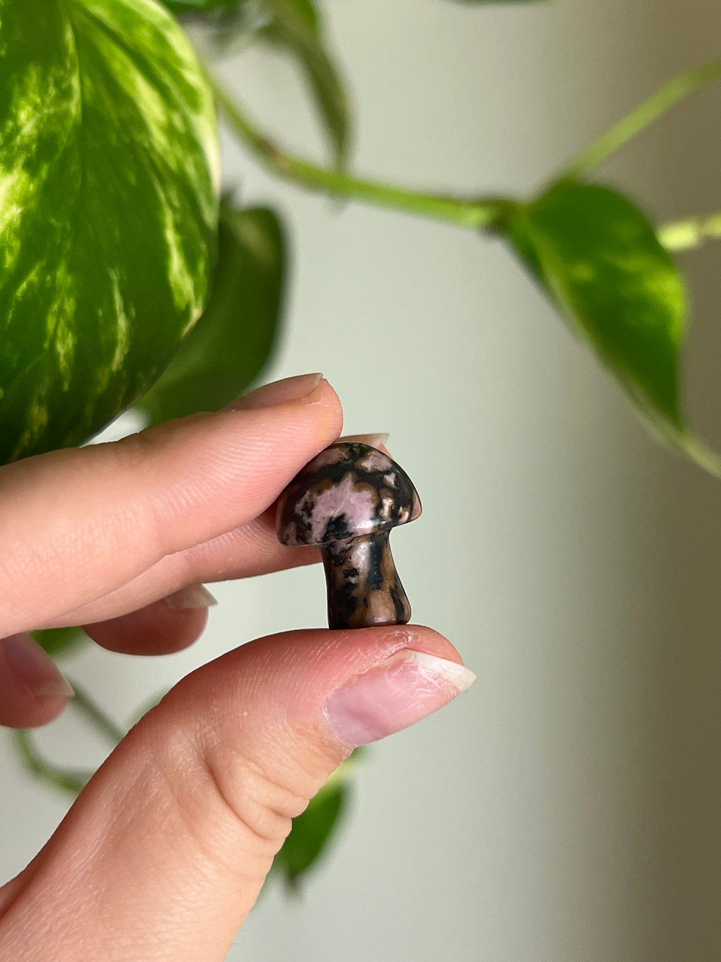 Webbed Rhodonite Mini Mushie