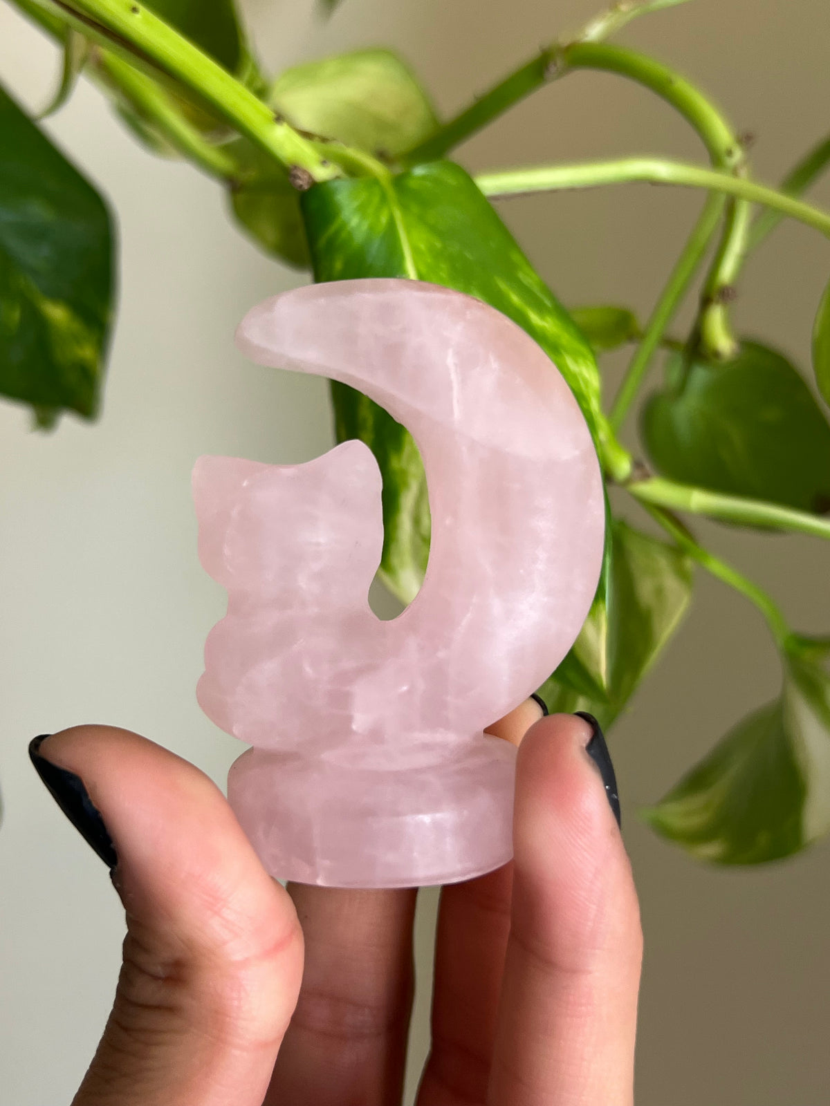Rose Quartz Cat Moon