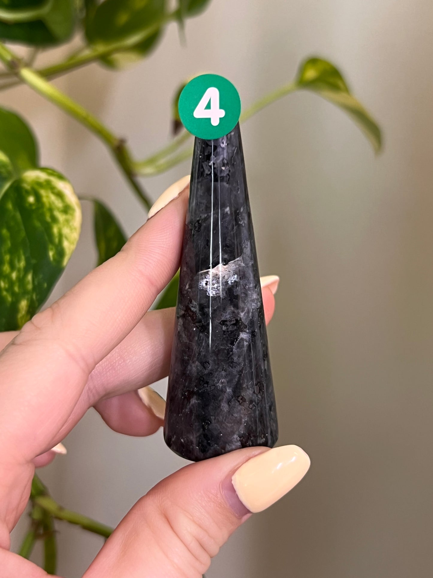Flashy Larvikite Ring Holder - 4