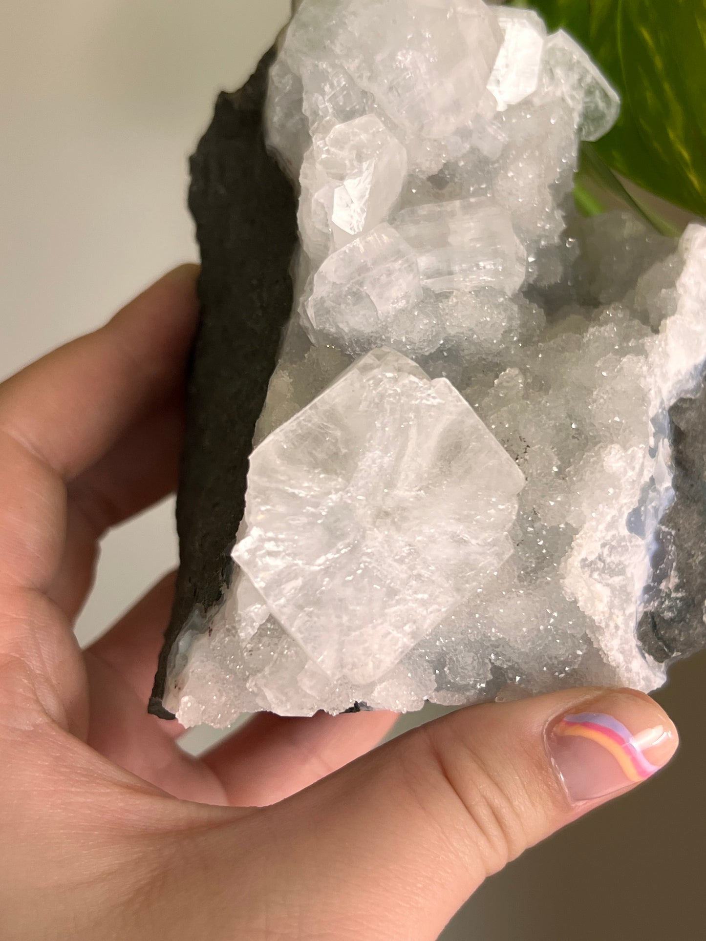 Apophyllite and Chalcedony Cluster - X