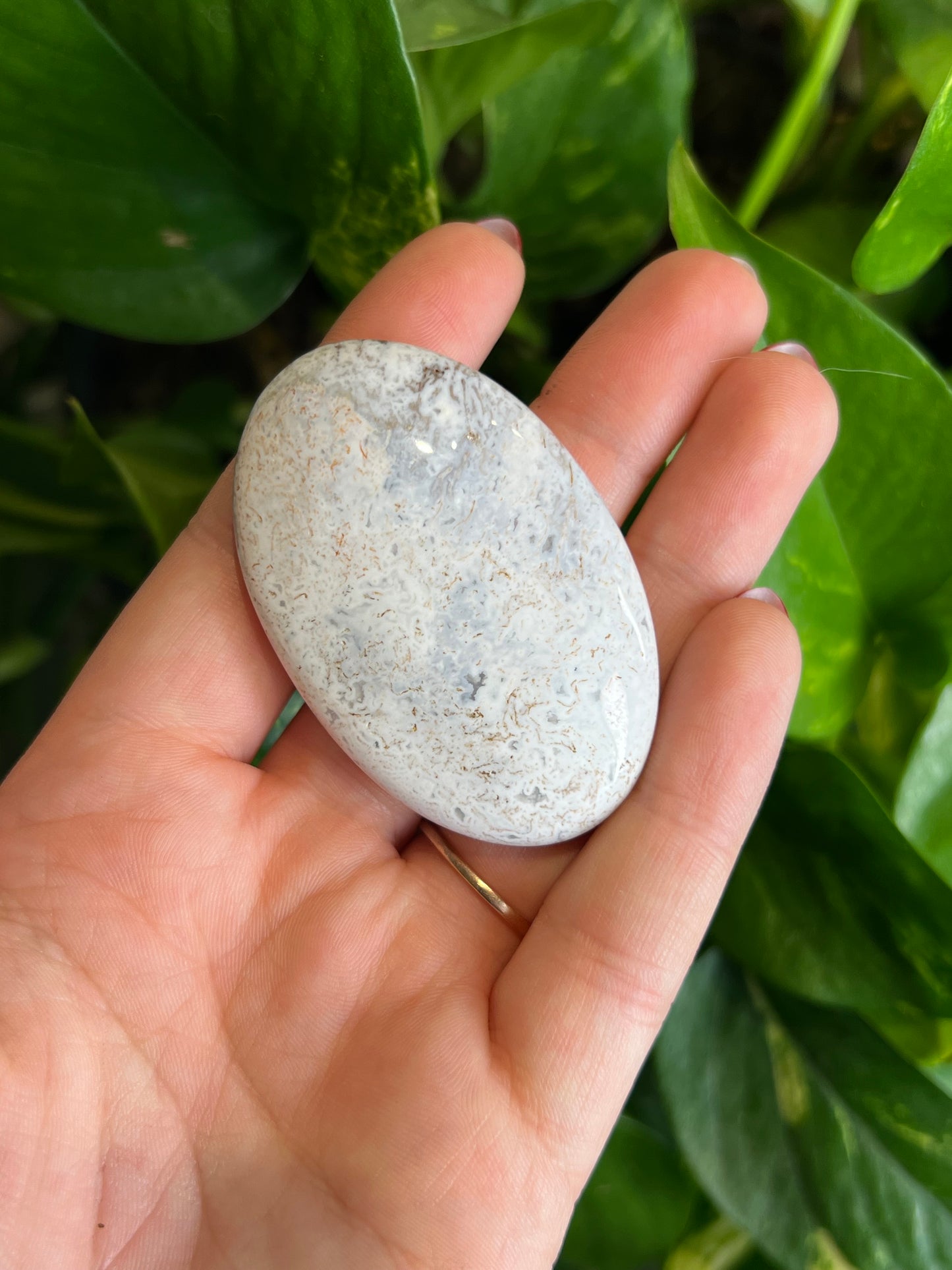 White Ocean Jasper Small Palm